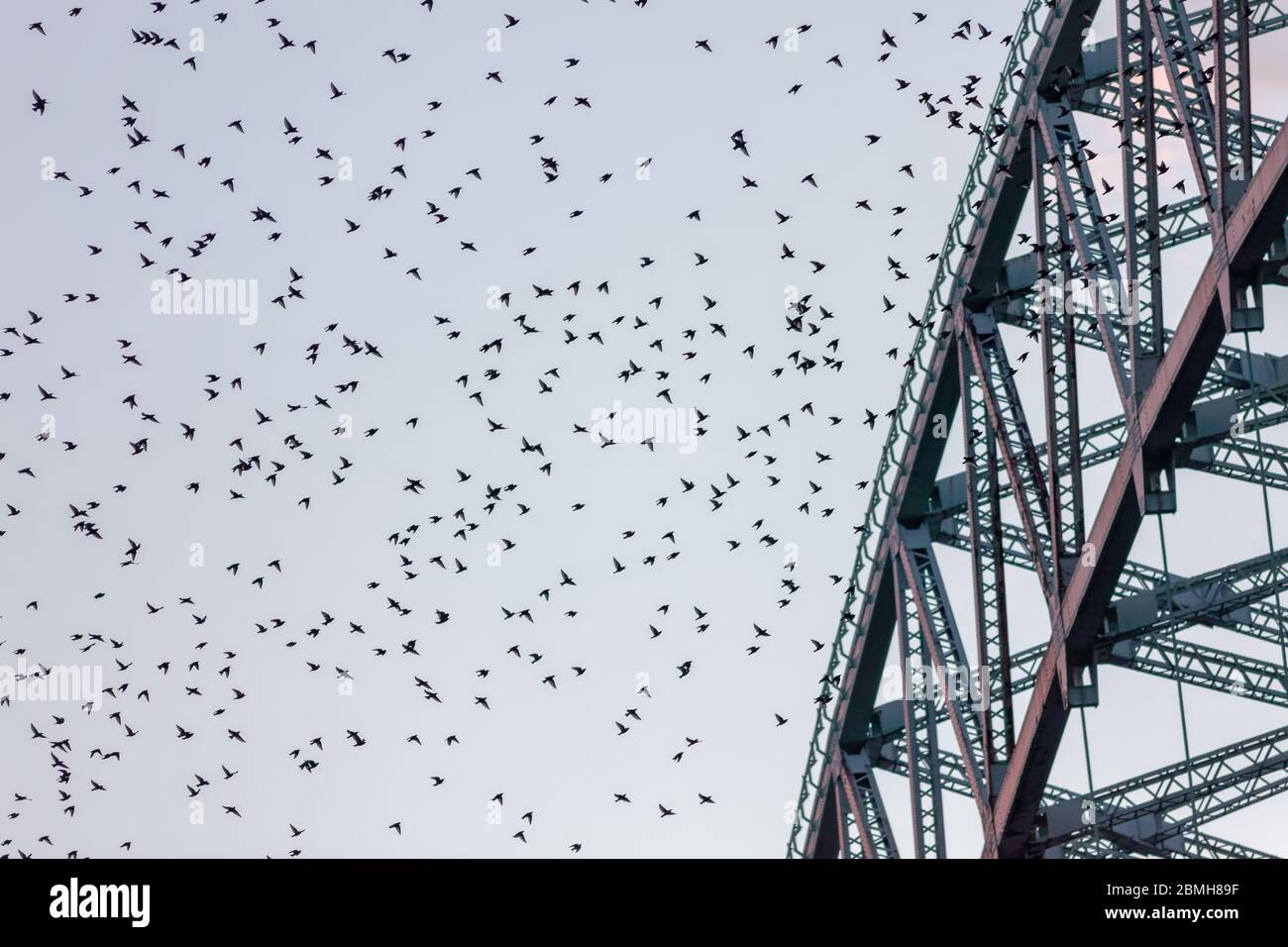 Al crepuscolo sopra il Silver Jubilee Bridge attraverso l'estuario del Mersey, visto dalle rive di Widnes Foto Stock