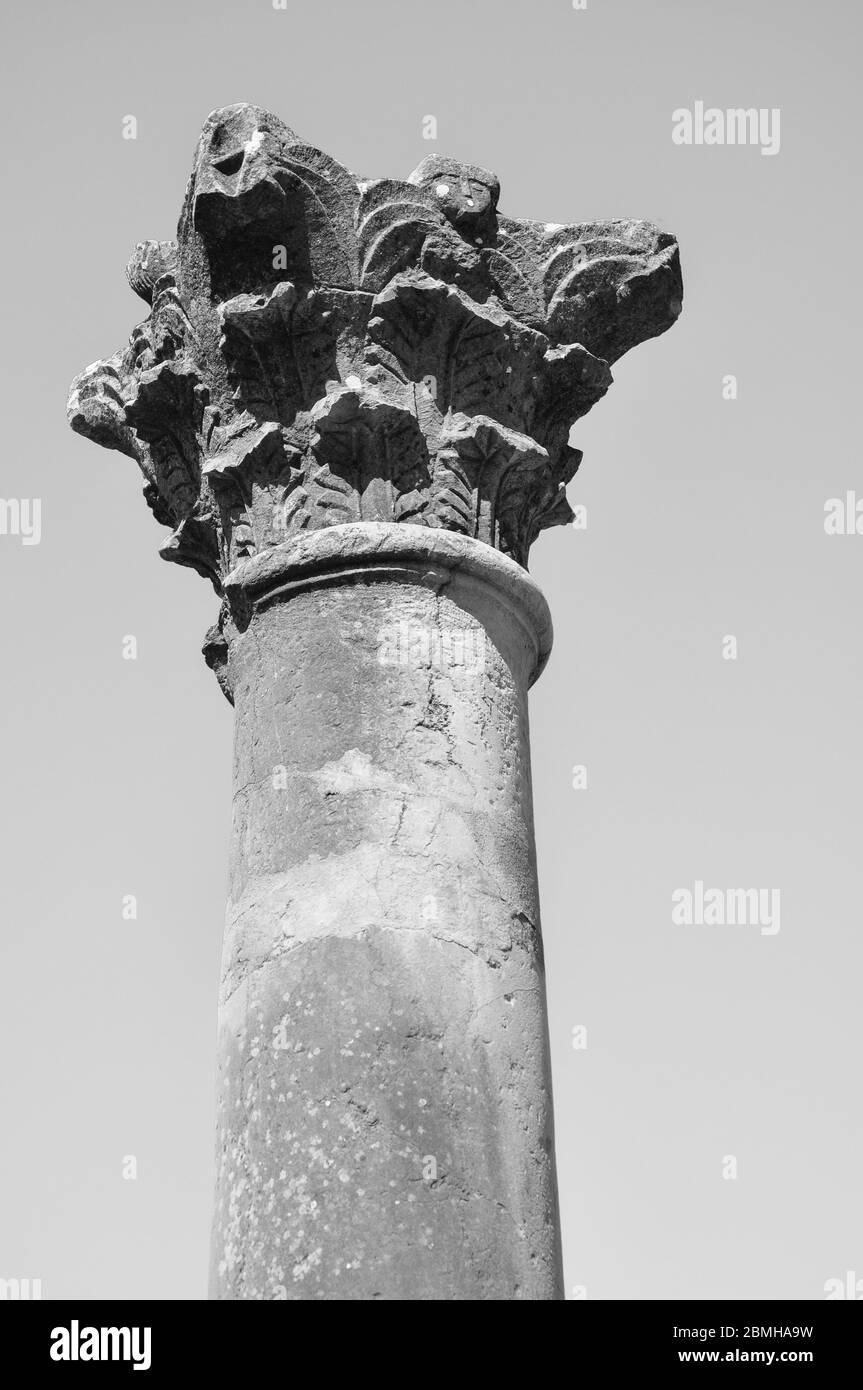 Sito archeologico di Volubilis, Marocco Foto Stock