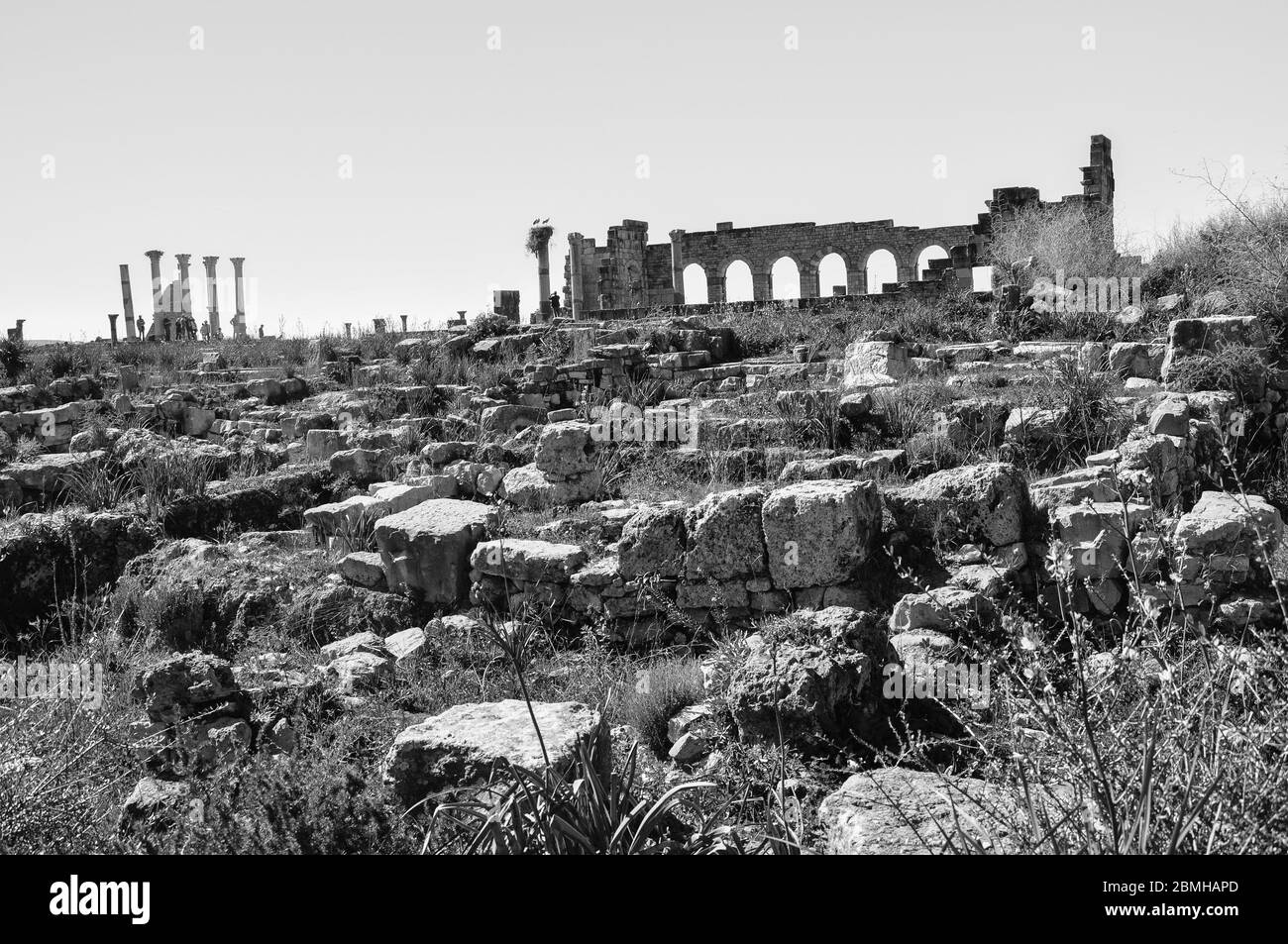 Sito archeologico di Volubilis, Marocco Foto Stock