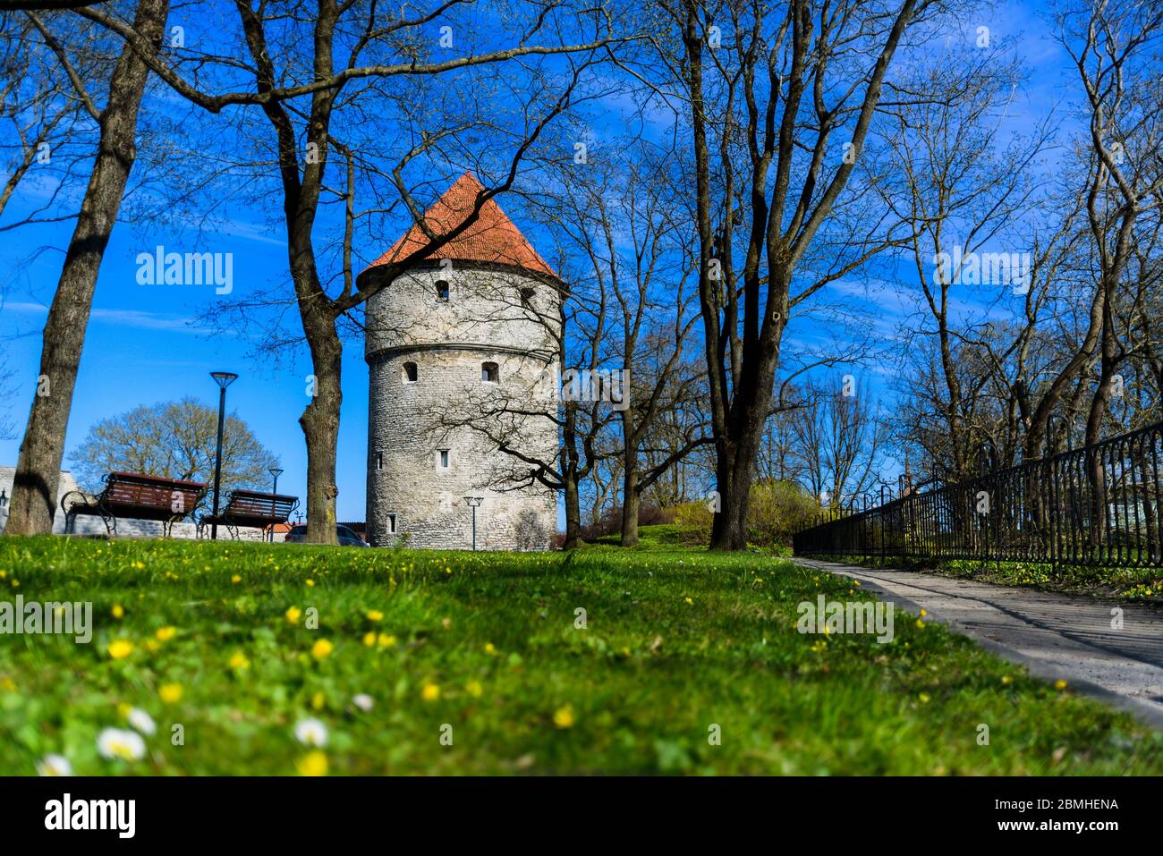 Kiek in de Kok torre d'artiglieria a Tallinn, Estonia in primavera Foto Stock