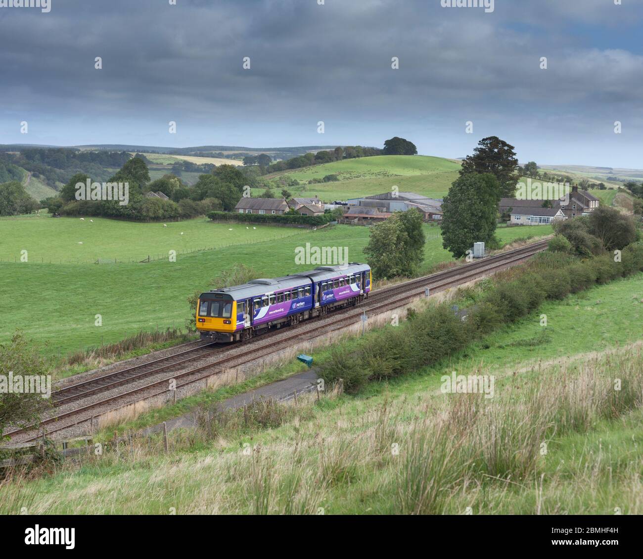 Treno nordico di classe 142 pacer 1420666 che passa la campagna a Upper Denton sulla linea ferroviaria della valle di Tyne Foto Stock