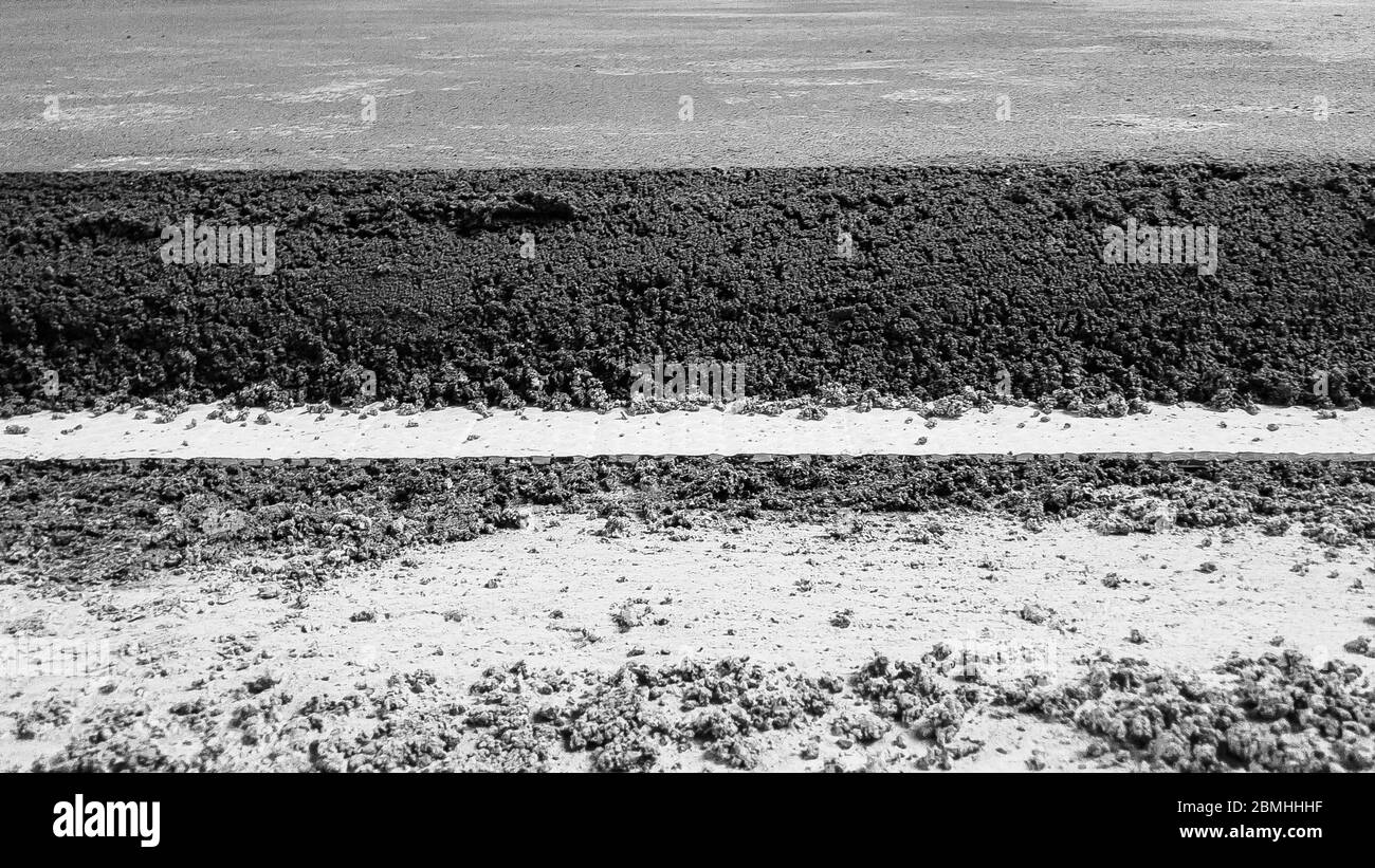 Strati di Malta su lastra di cemento rinforzata Foto Stock
