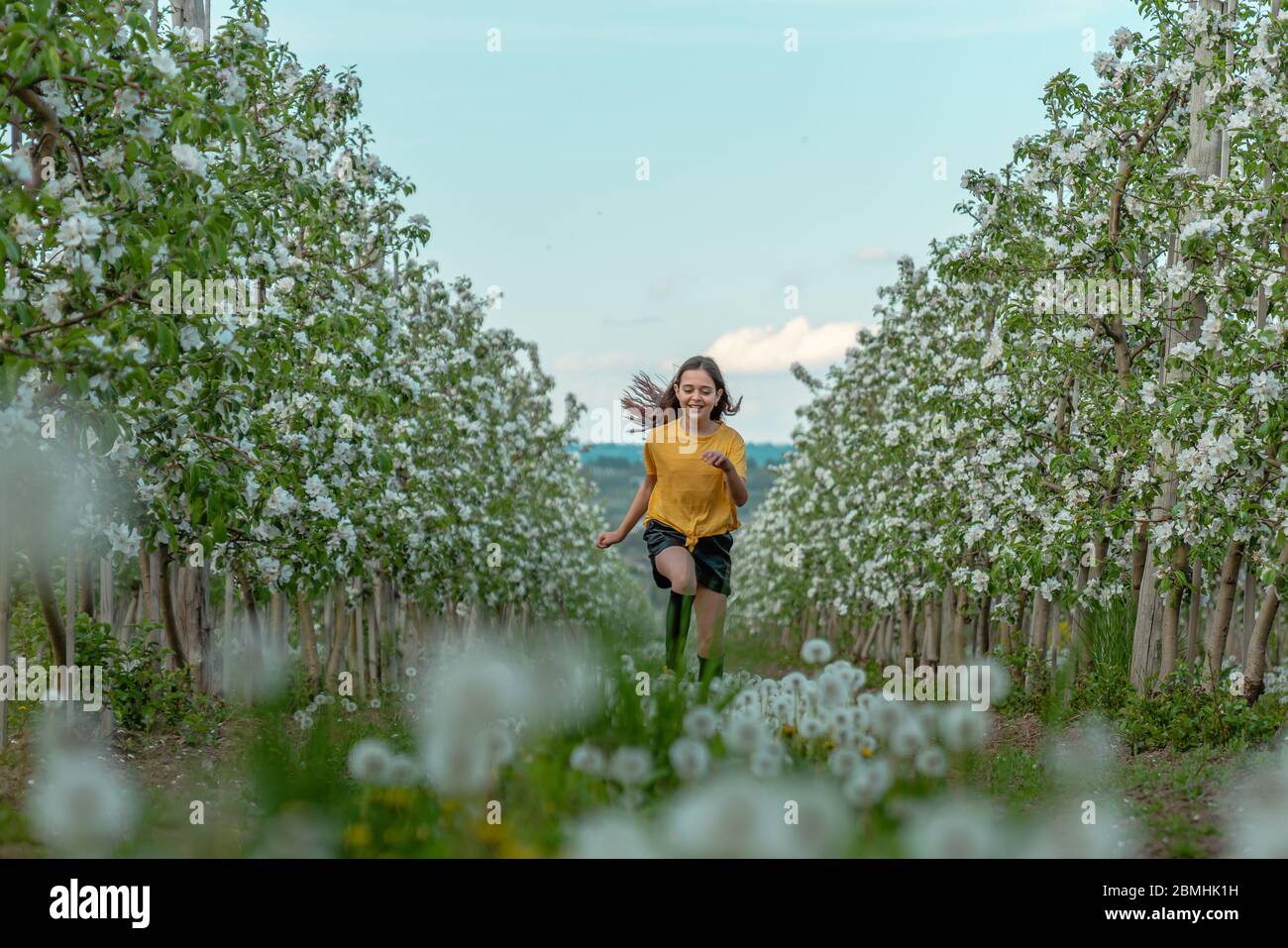 Ragazza bruna felice in camicia gialla che corre lungo alberi in fiore nel giardino di mele Foto Stock
