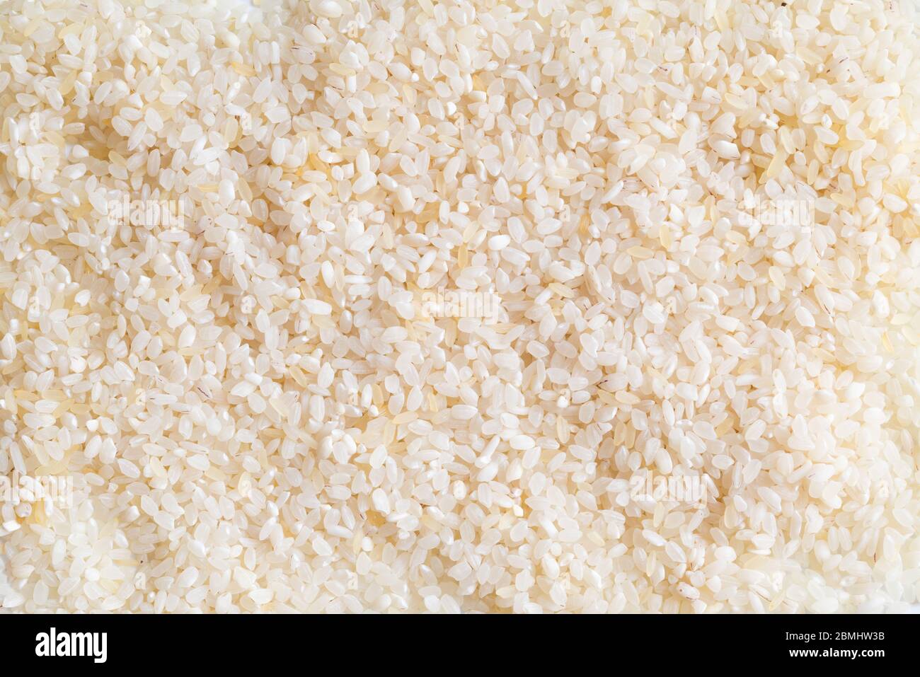 Riso misto di fondo. Consistenza di due tipi diversi di riso crudo. Risotto. Cibo sano. Non cotti, naturali. Chioccarsi di grani bianchi. Vista dall'alto Foto Stock