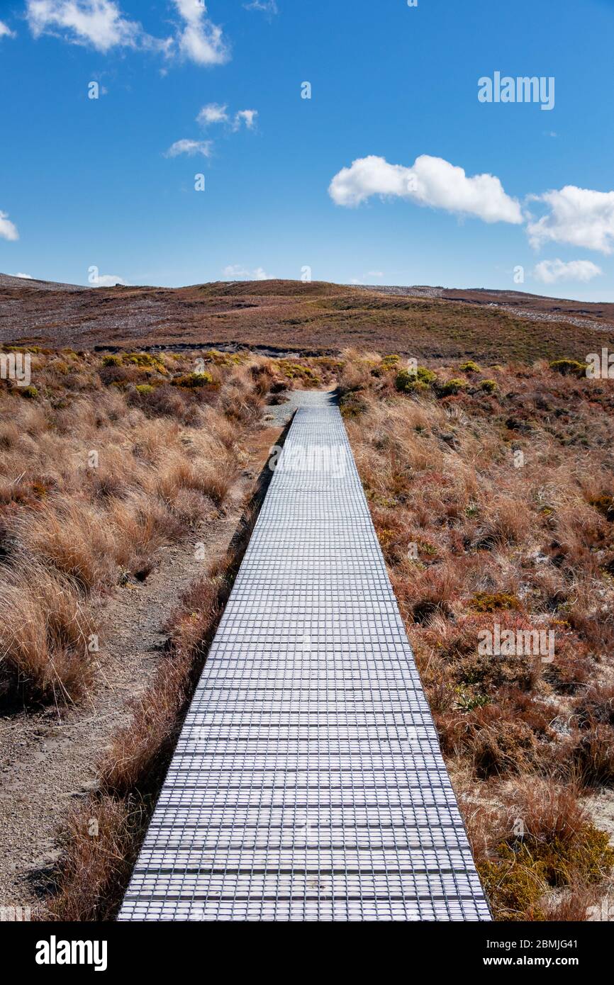 Scena tranquilla con passeggiata a bordo che si estende attraverso la prateria verso l'orizzonte con cielo blu profondo e nuvole che ritraggono felicità, avventura ed esplorazione Foto Stock