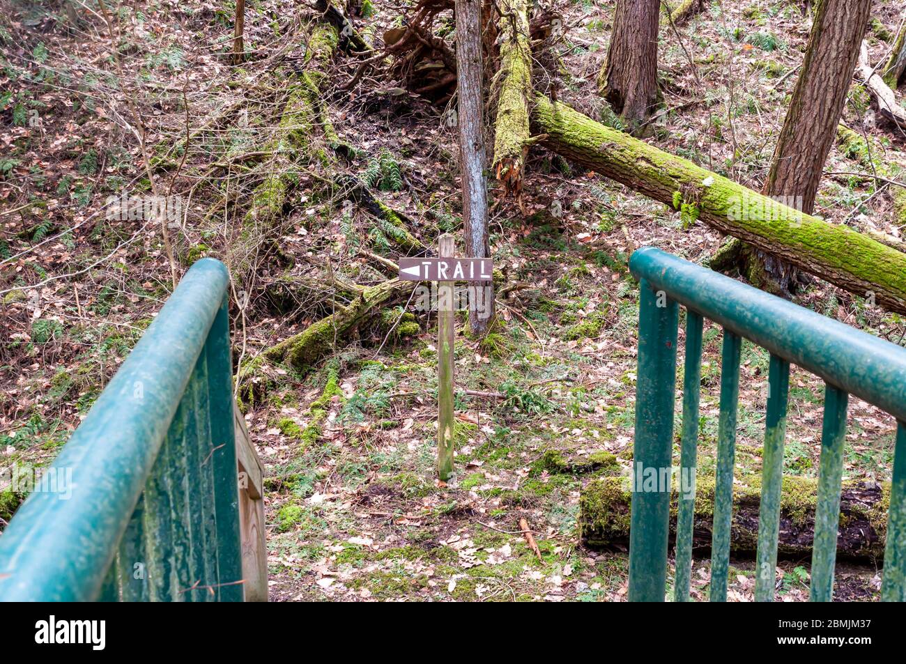 Un cartello direzionale in legno nei boschi alla fine di un ponte pedonale in metallo nella contea di Warren, Pennsylvania, USA Foto Stock
