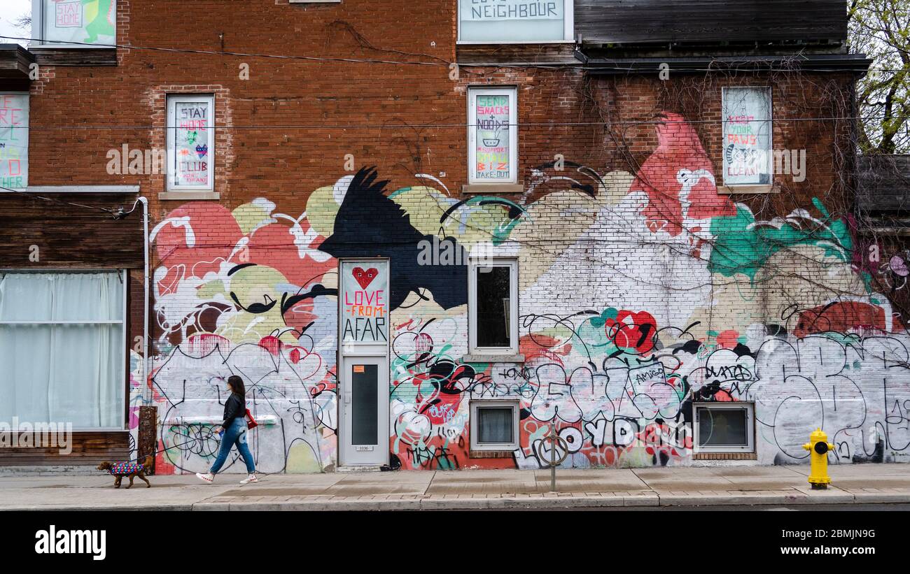 Toronto, Canada, una donna locale cammina il suo cane di fronte al murale colorato che presenta messaggi positivi di distanza sociale durante la pandemia di coronavirus. Foto Stock