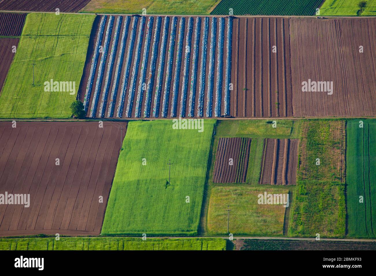 Composizione astratta dei campi da vista in alto punto di vista di Cerje vicino Miren nella Valle di Vipava Slovenia Foto Stock