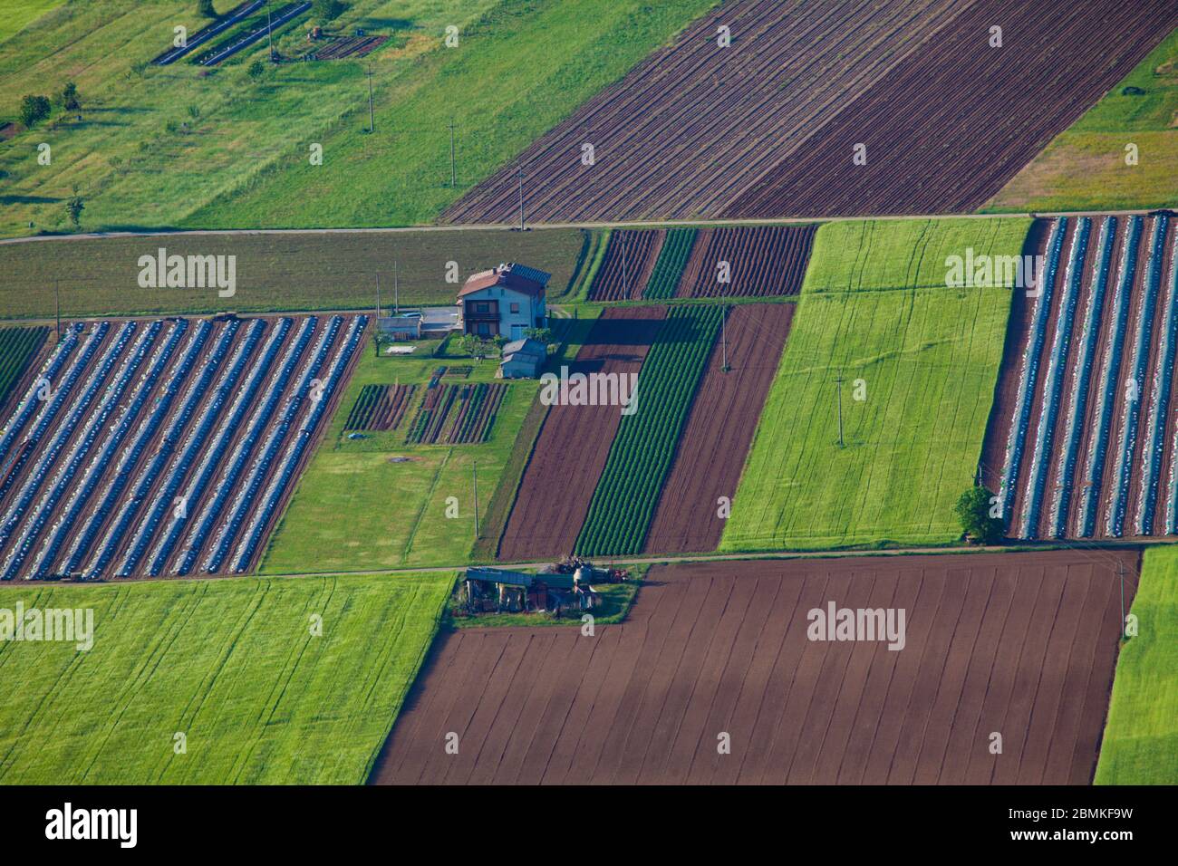 Composizione astratta dei campi da vista in alto punto di vista di Cerje vicino Miren nella Valle di Vipava Slovenia Foto Stock