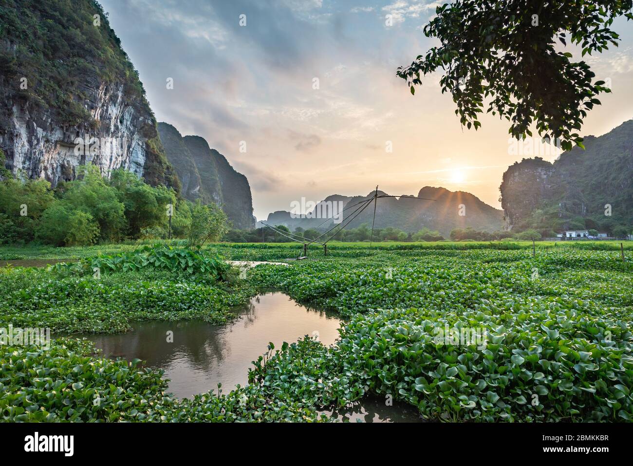 Tramonto nella campagna vicino Ninh Binh con vegetazione lussureggiante, e in parte cielo coperto, provincia di Ninh Binh, Vietnam Foto Stock