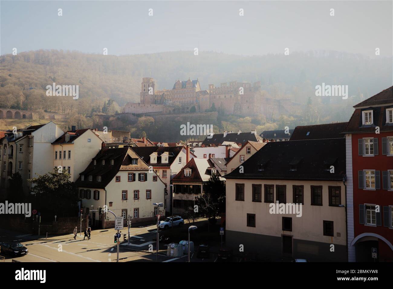 Misty mattina a Heidelberg, con il Castello di Heidelberg sullo sfondo. Germania. Foto Stock
