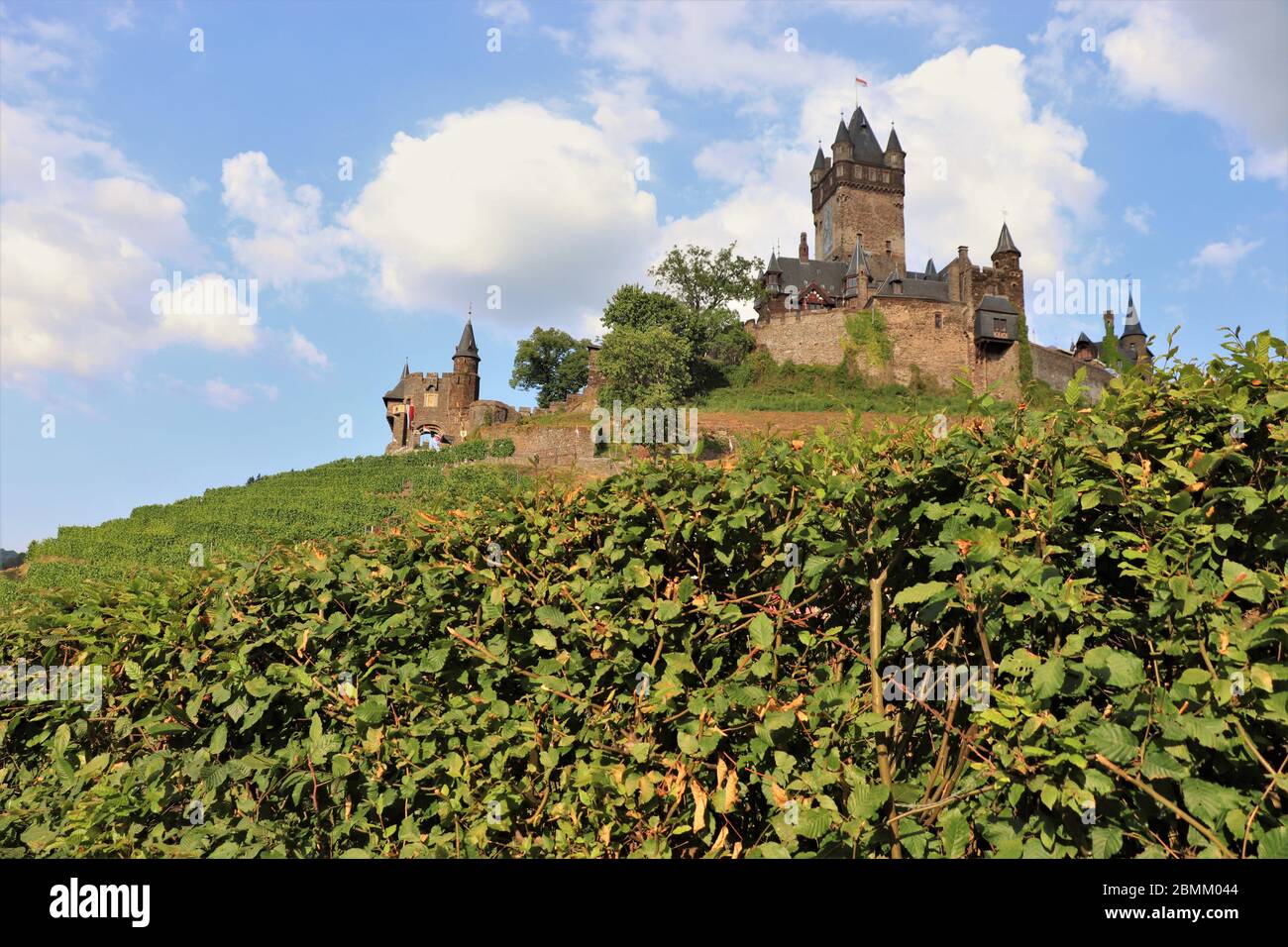 Castello di Cochem circondato da vigneti lungo il fiume Mosella a Cochem, Germania Foto Stock