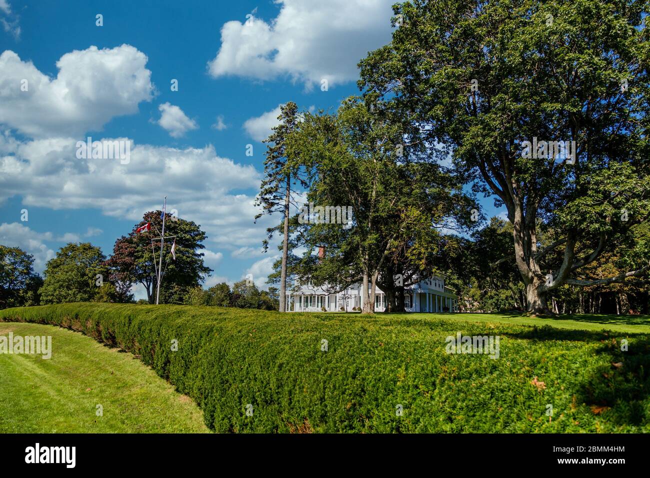 Hedgerow verde a Charlottetown Foto Stock