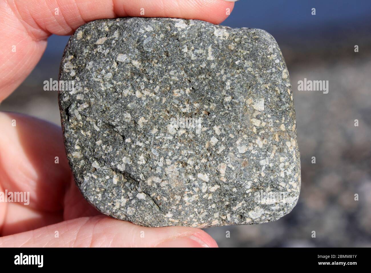 Andesite - una roccia igneosa estrugente Foto Stock