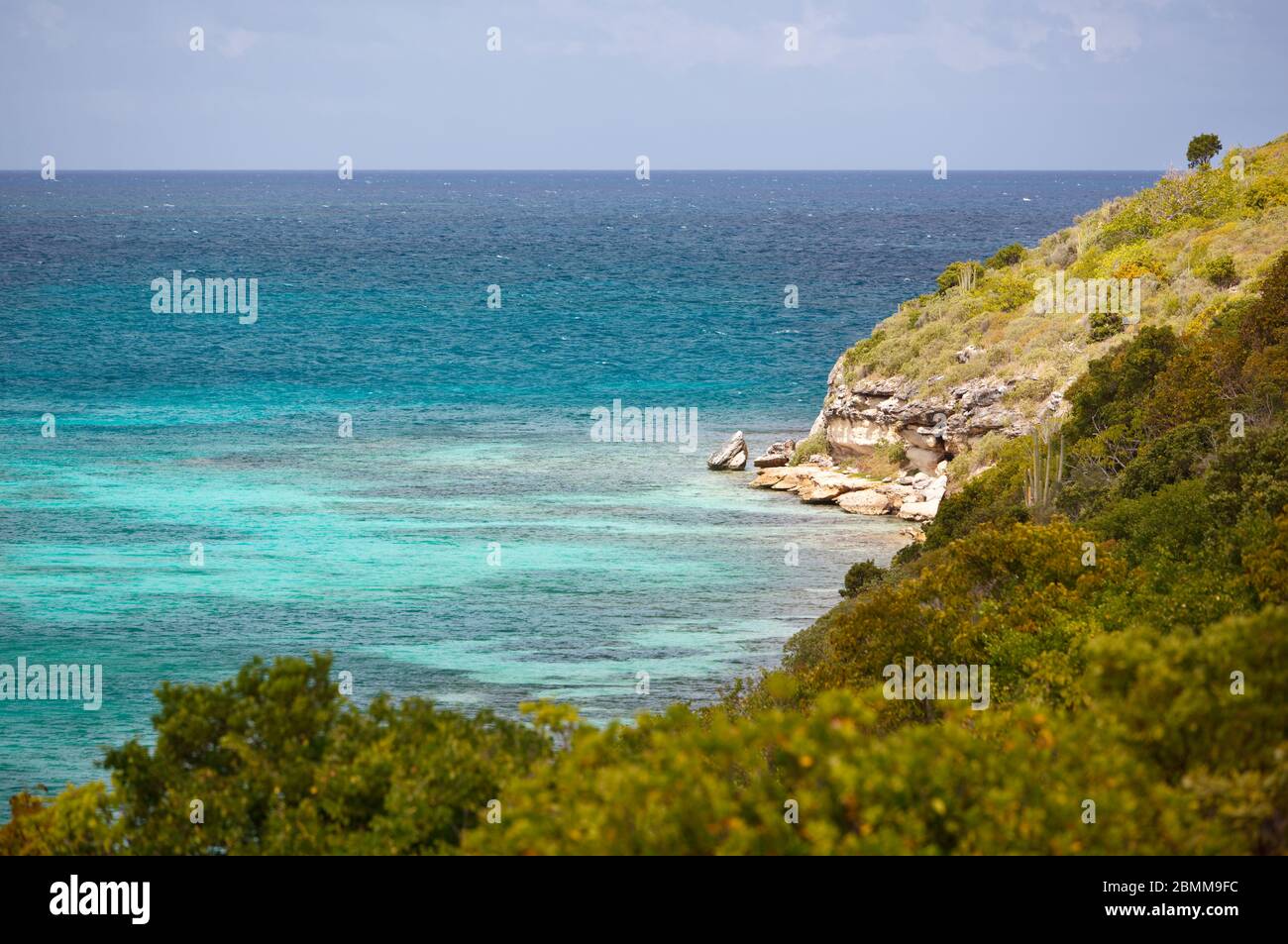 Isola degli uccelli che appartiene ad Antigua. Foto Stock