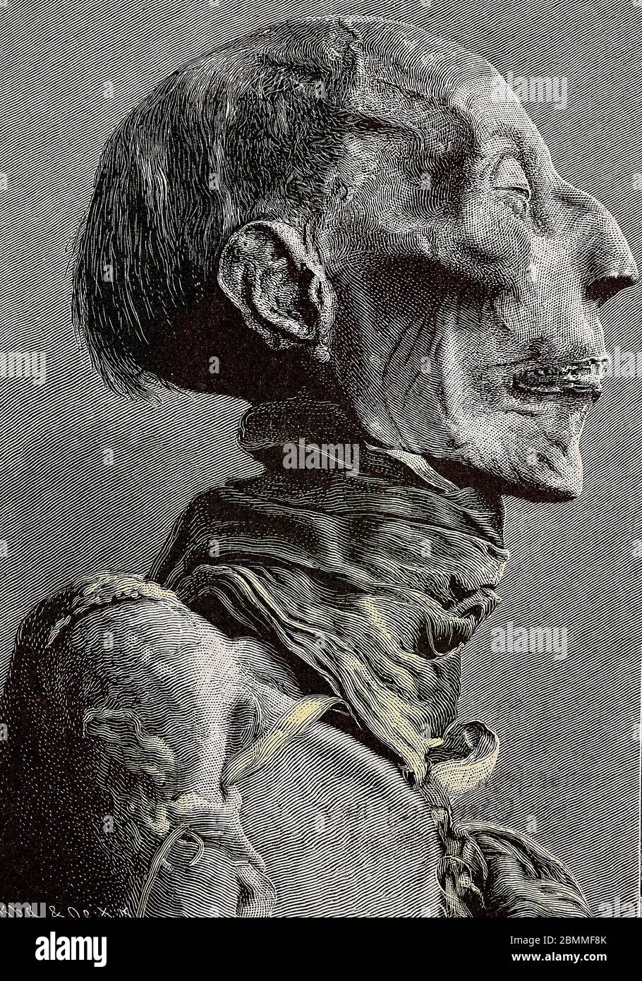 Profil de la momie de Ramses II (1290 -1237 AV JC), decouverte en Egypte, Lors de fouilles - Lithographie d'apres une photographie testa della mummia Foto Stock