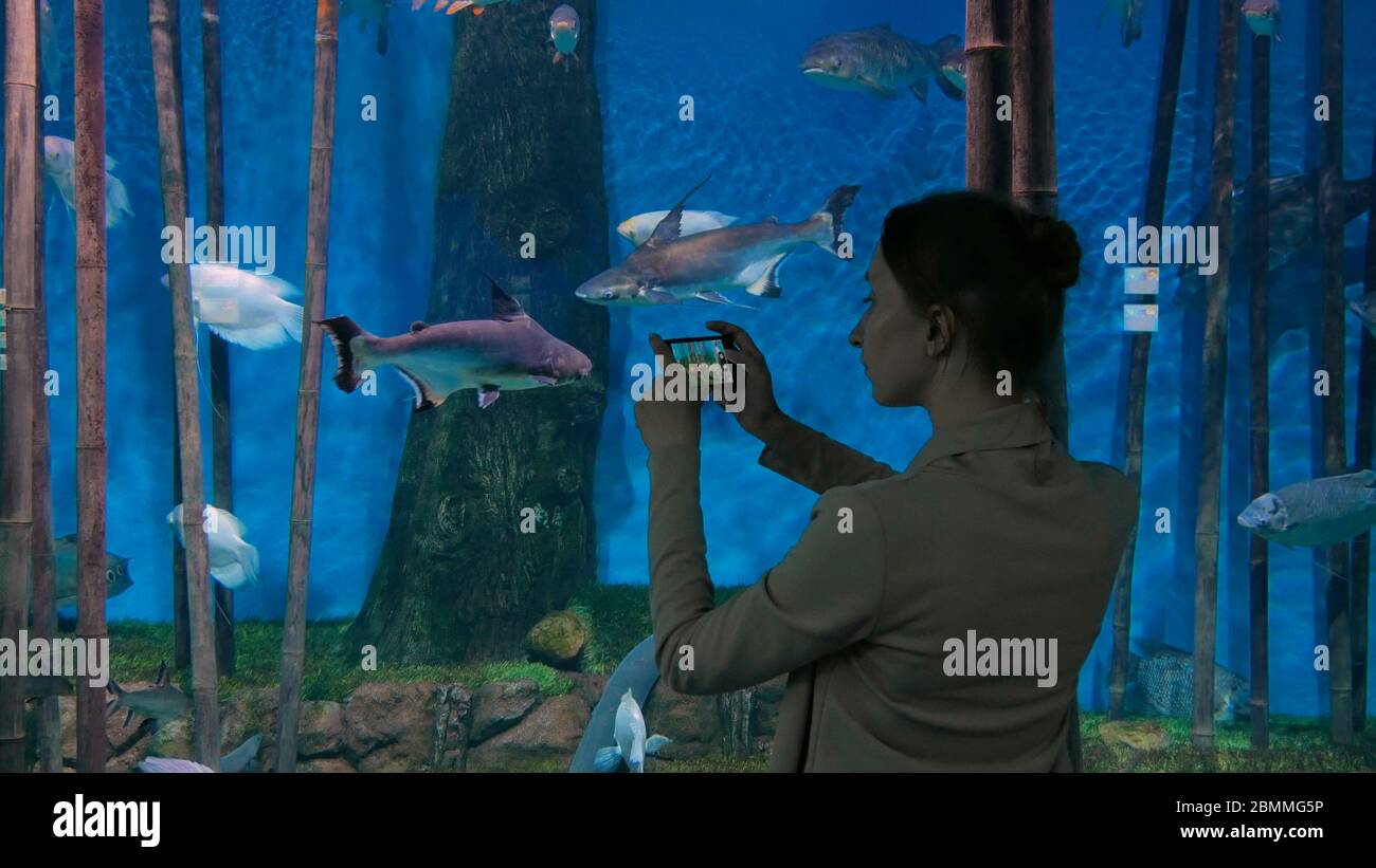 Donna di scattare le foto dei pesci con lo smartphone. Tecnologia e concetto di intrattenimento Foto Stock