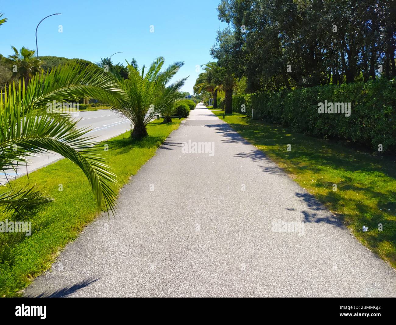 passeggiata sulla desolata passeggiata in estate in toscana Foto Stock