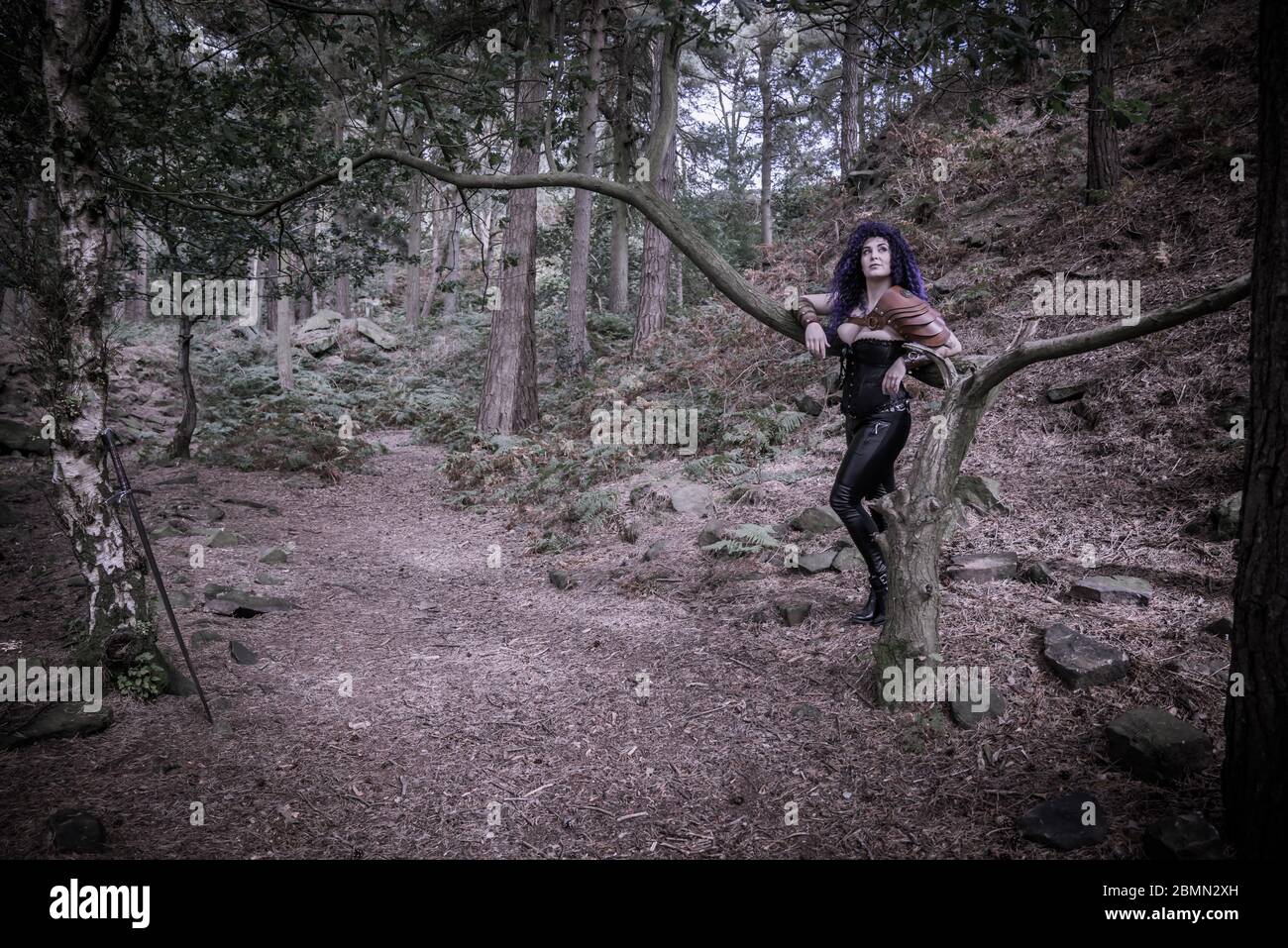 La sheildmaiden nei boschi Foto Stock