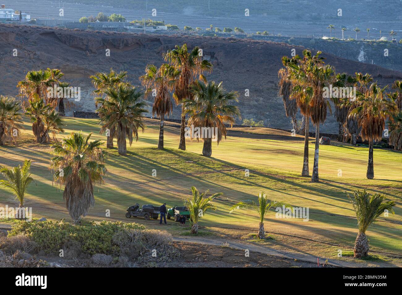 Campi da golf di Adeje con palme vuote, tranne per il personale addetto alla manutenzione durante il convid 19 nell'area turistica di Costa Adeje, Foto Stock