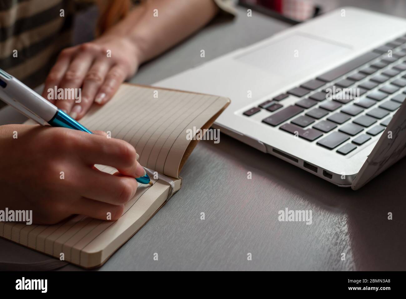 Giovane donna che lavora a casa, studentessa che scrive in nota pad & guardando il computer, shopping online, lavoro o studiare da casa, freelance, online l Foto Stock