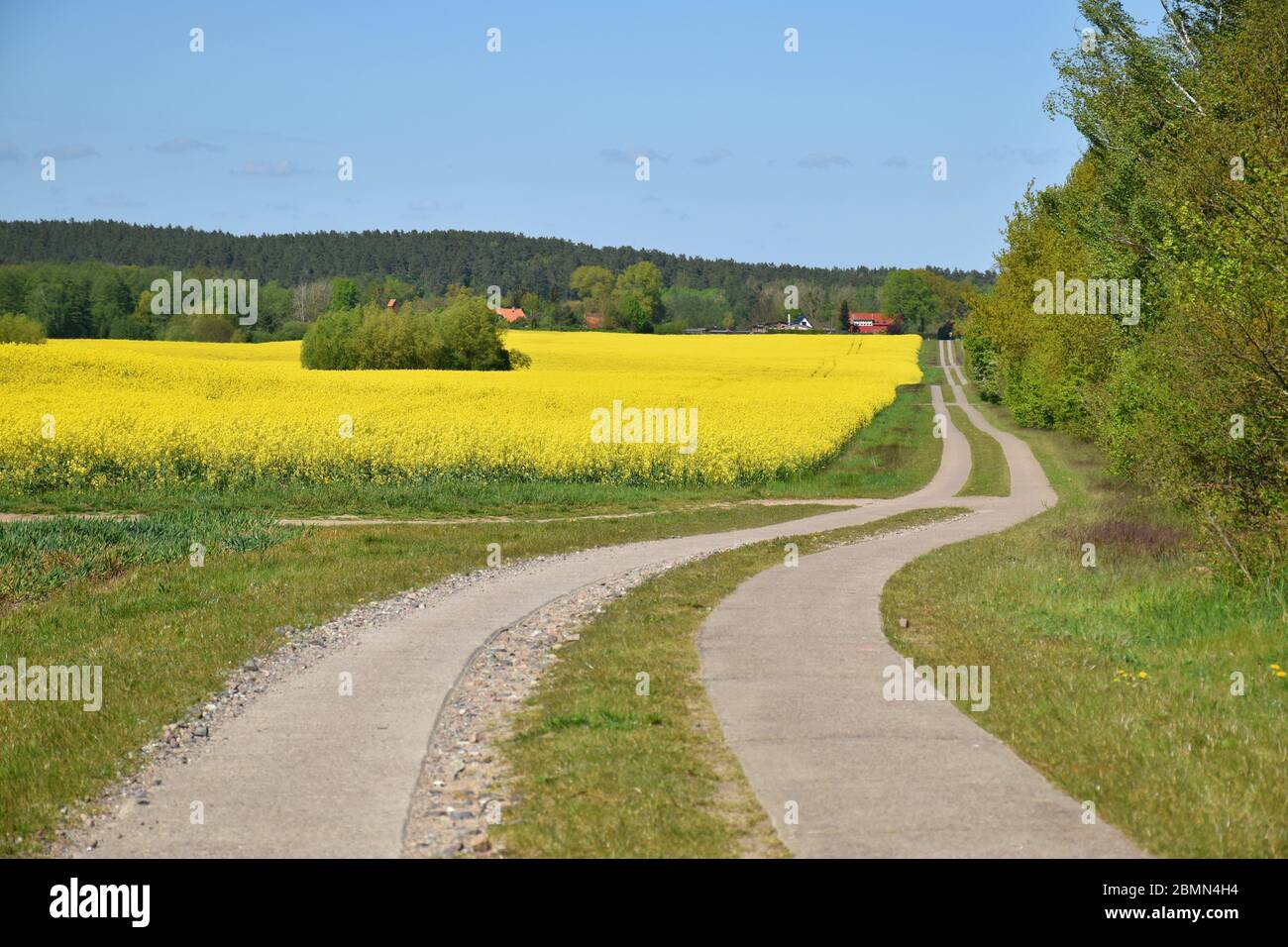 strada rurale in campagna in primavera Foto Stock