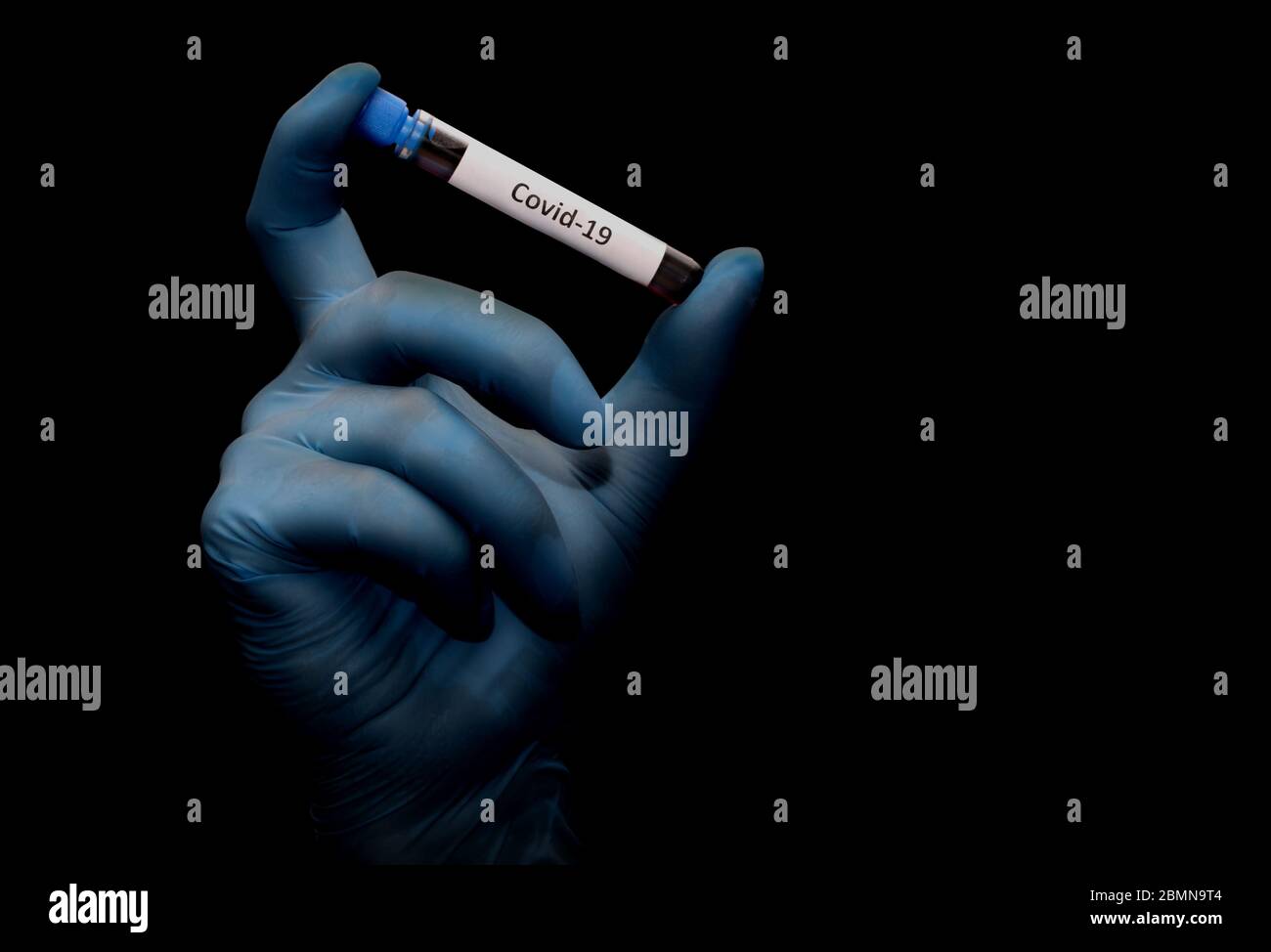 Mano nel guanto che tiene una provetta con l'iscrizione covid-19 isolata su fondo nero. Campione con sangue da analizzare. Foto Stock