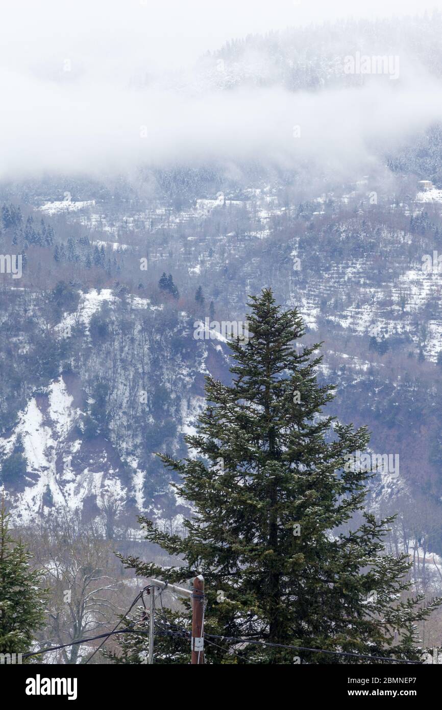 Paesaggio invernale sulla montagna di Kaliakouda, vicino a Karpenissi, in Grecia centrale, Europa. Foto Stock