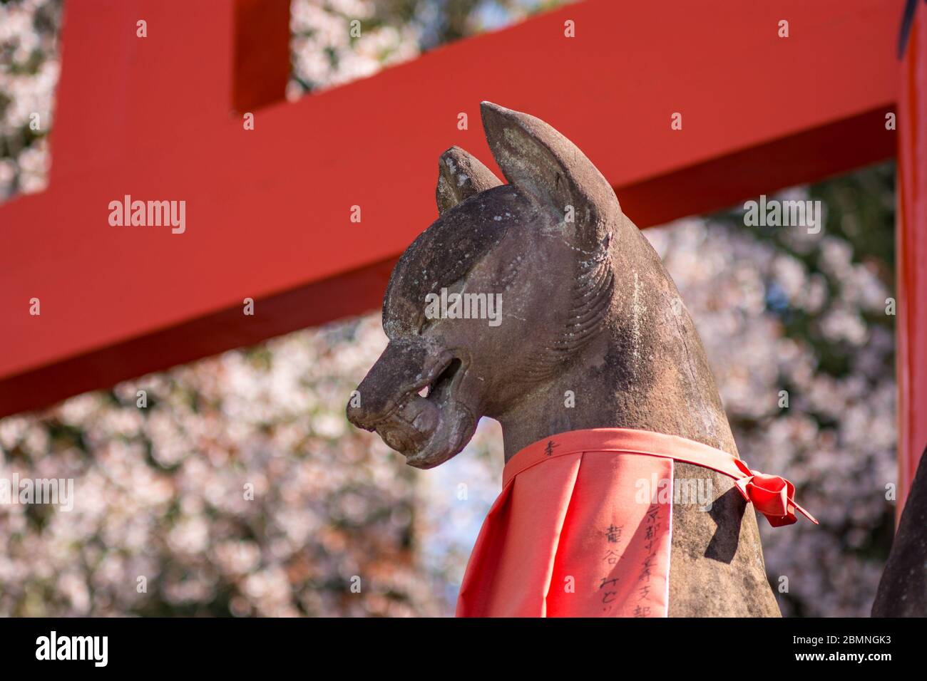 Statua di un Kitsune, il dio giapponese della volpe rossa shinto, nel santuario di Fushimi Inari Shinto a Kyoto, Giappone Foto Stock