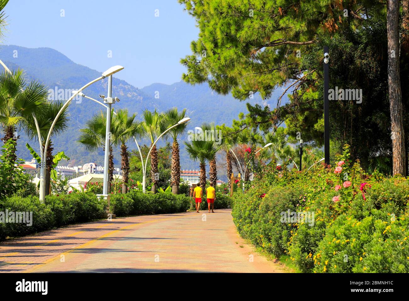 Una bella pista ciclabile in un parco in una località turistica tra esotiche palme del sud e alberi verdi. Vacanze estive, Turchia, Marmaris. Foto Stock