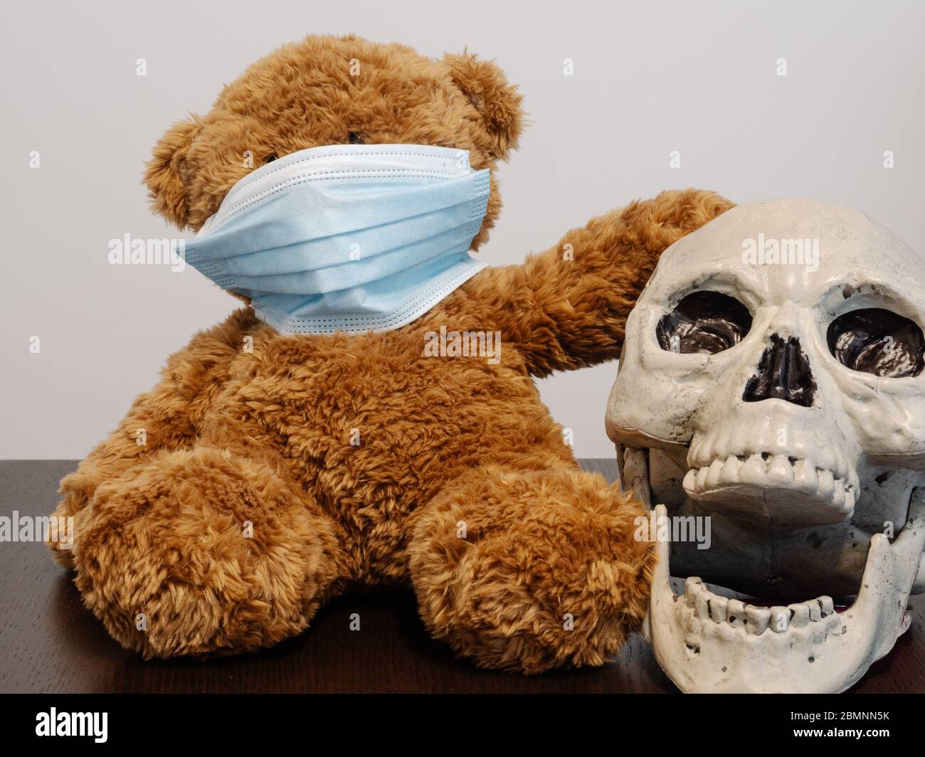 Orso di cedro e cranio a bocca aperta con maschera di coronavirus 19 Foto Stock