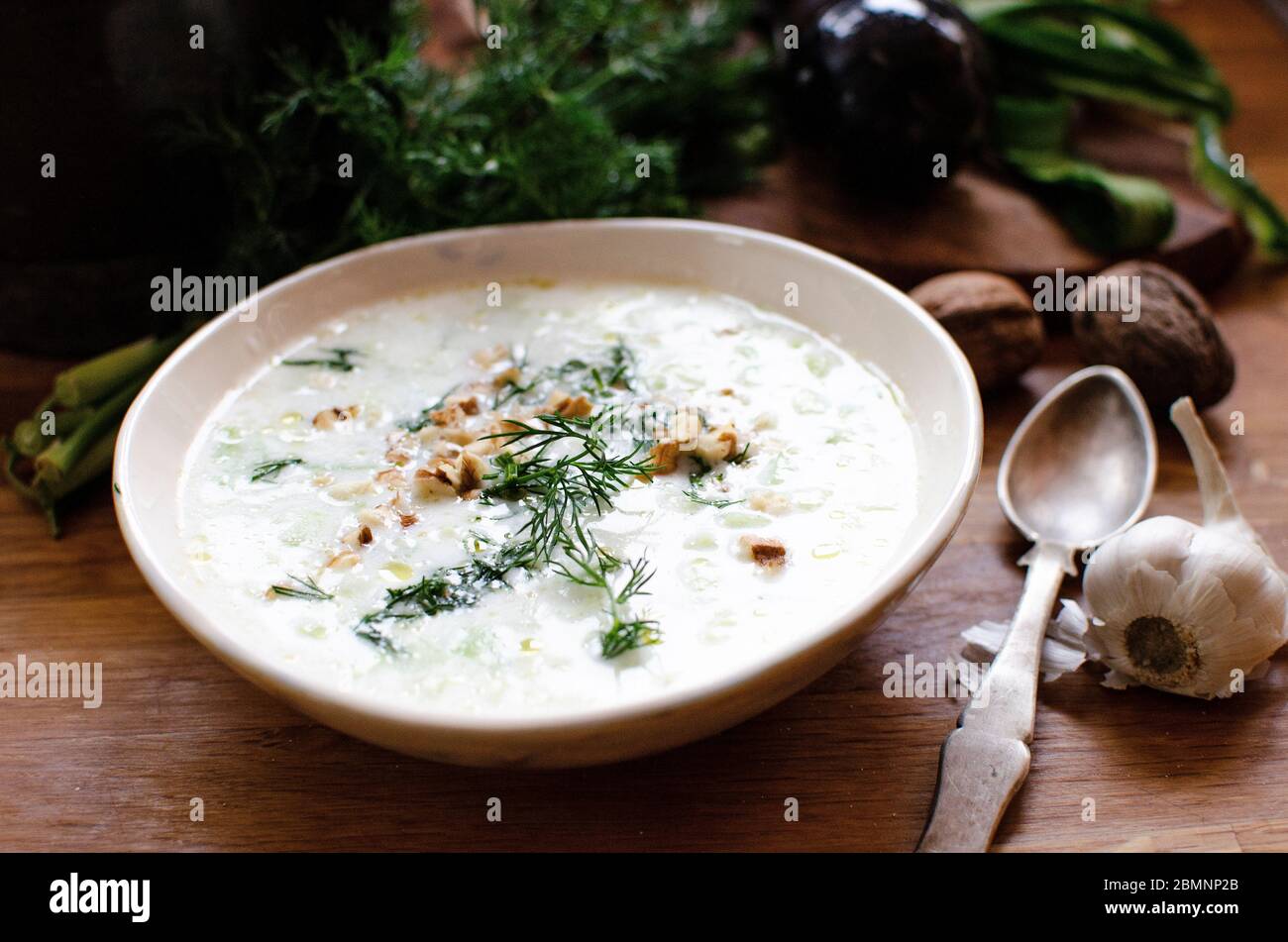 Zuppa fredda di yogurt bulgaro Tarator - fatta con yogurt, cetrioli, aglio, olio d'oliva, aneto e noci. Sistemato in una tazza di ceramica con un cucchiaio vecchio Foto Stock