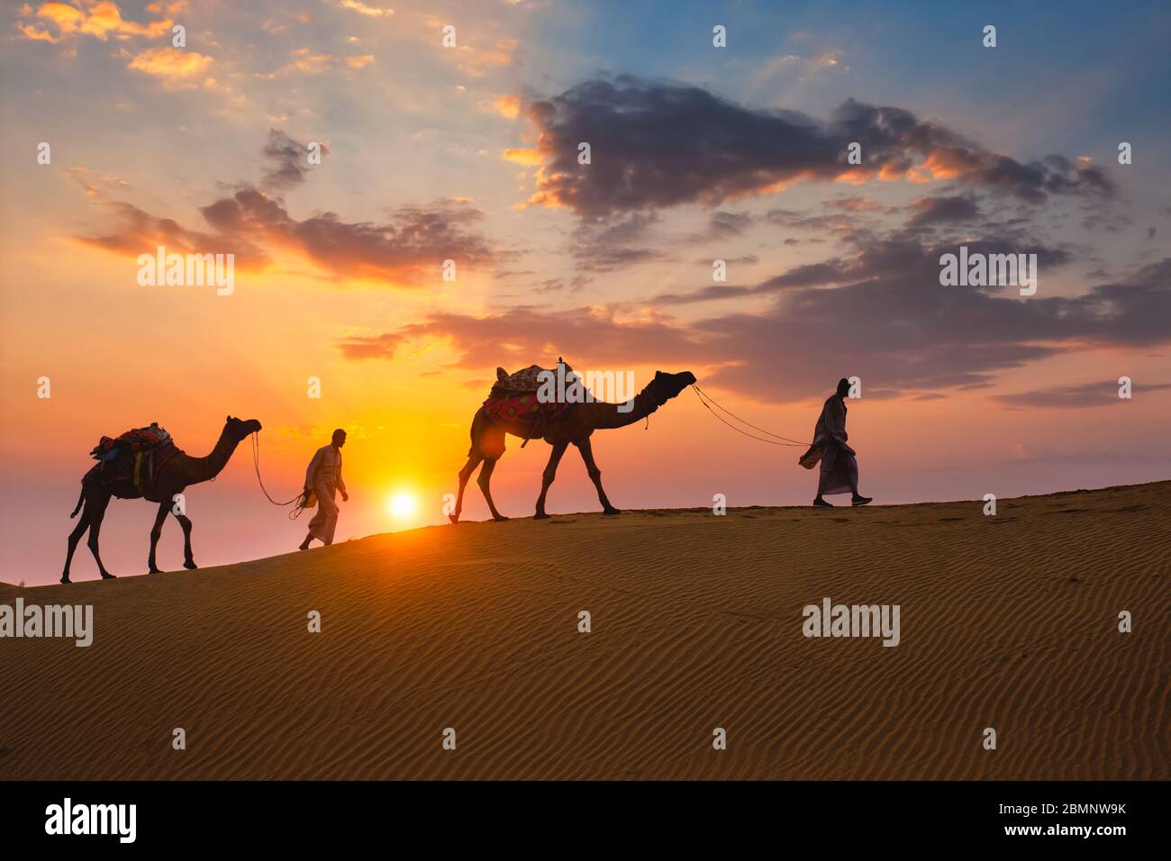 Camaleatori indiani driver cammello con silhouette cammello in dune al tramonto. Jaisalmer, Rajasthan, India Foto Stock