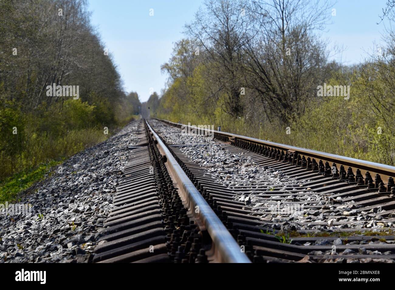 Ferrovia nella foresta con traversine in cemento. Foto Stock