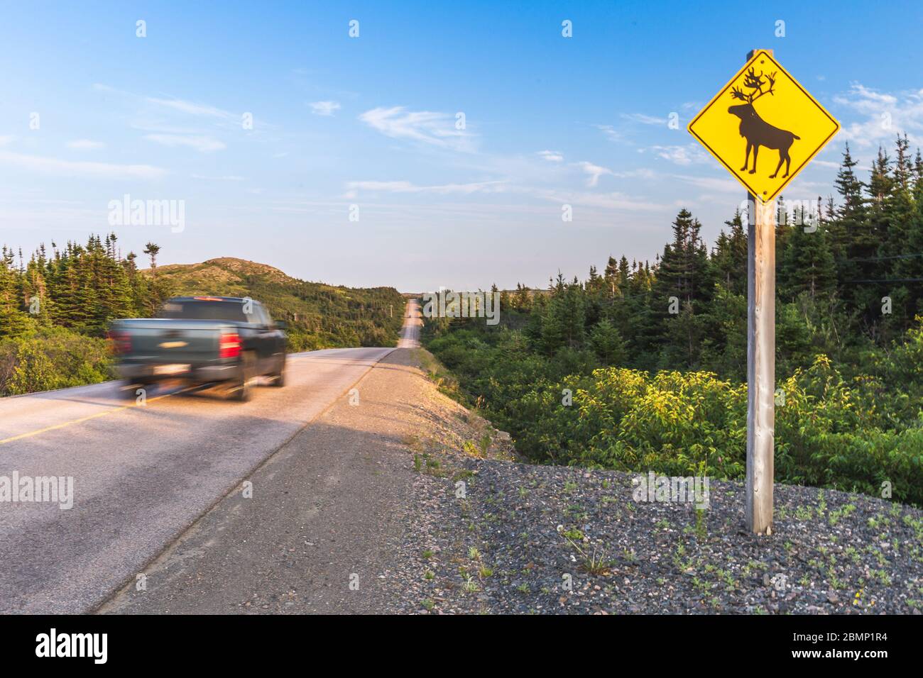 Segno di avvertimento del pericolo di alci, Parco Nazionale Gros Morne, Terranova e Labrador, Canada Foto Stock