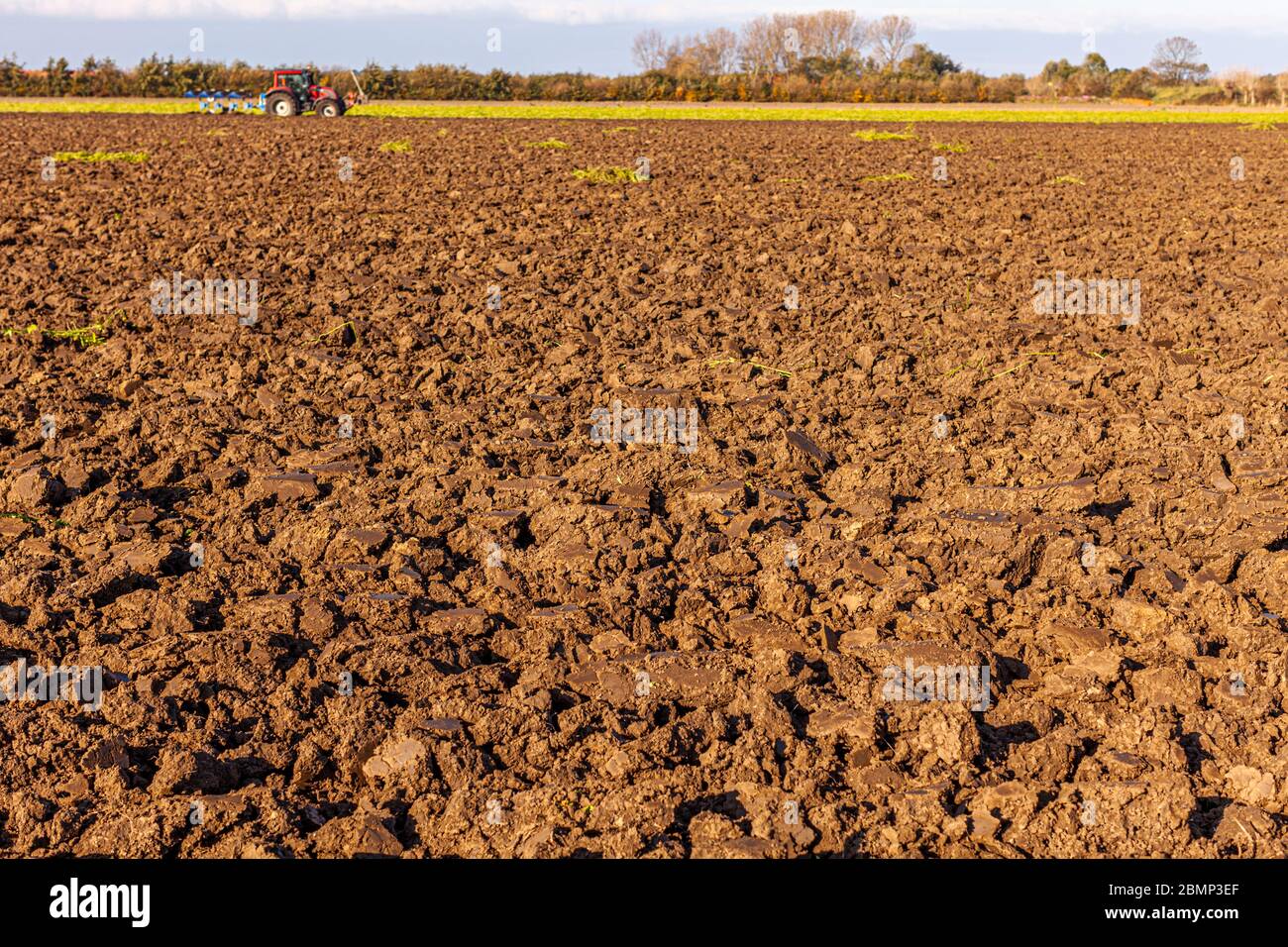 Coltivatore che arano un campo con un trattore a Vrouwenpolder, Paesi Bassi Foto Stock