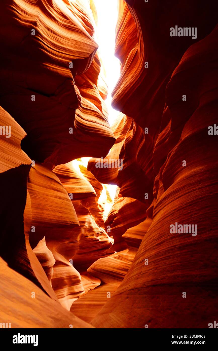 La bellezza paradisiaca dell'Antelope Canyon Foto Stock