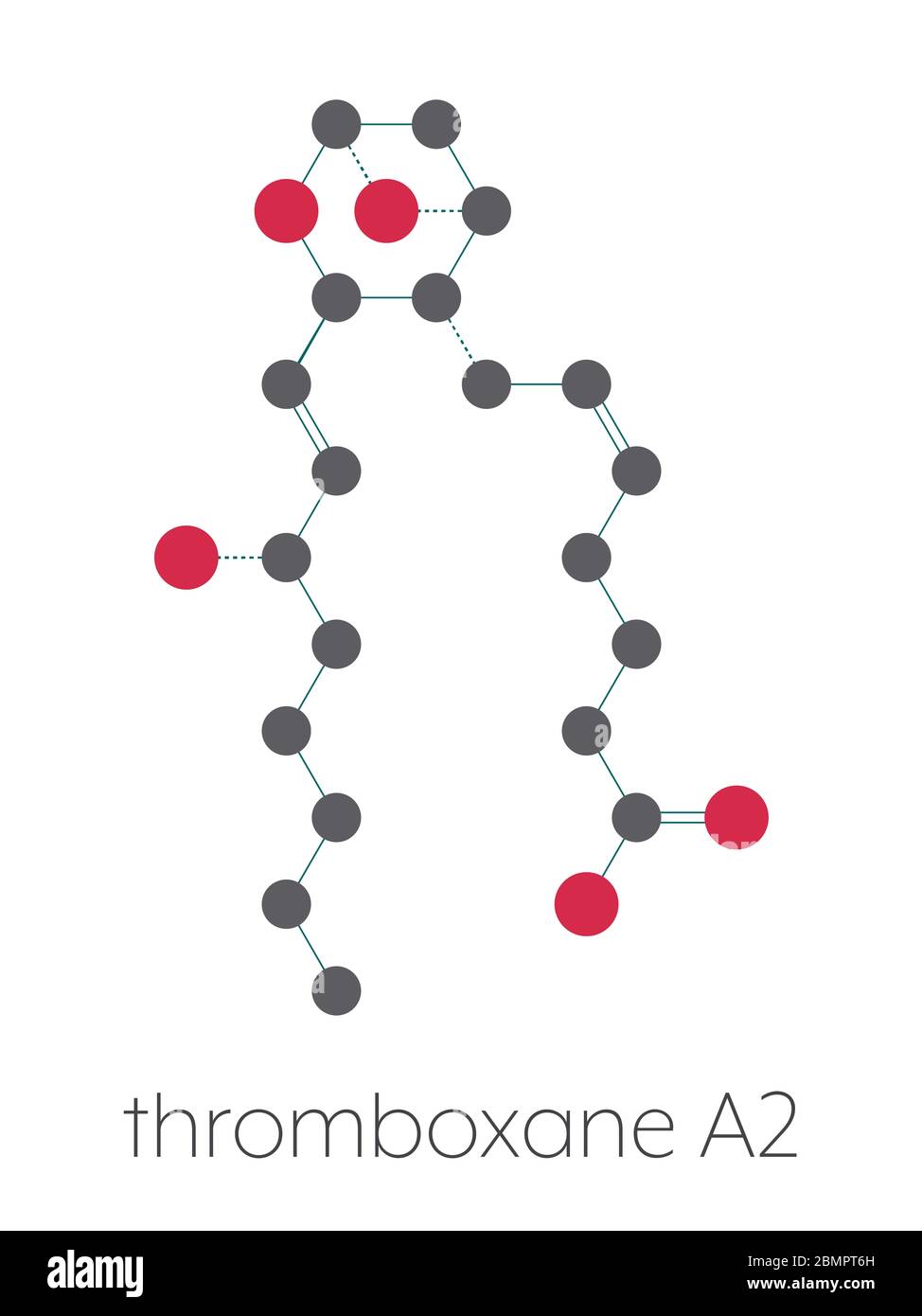 Molecola di trombossano A2 (TXA2). Formula scheletrica stilizzata (struttura chimica): Gli atomi sono indicati come cerchi codificati a colori: Idrogeno (nascosto), carbonio (grigio), ossigeno (rosso). Foto Stock