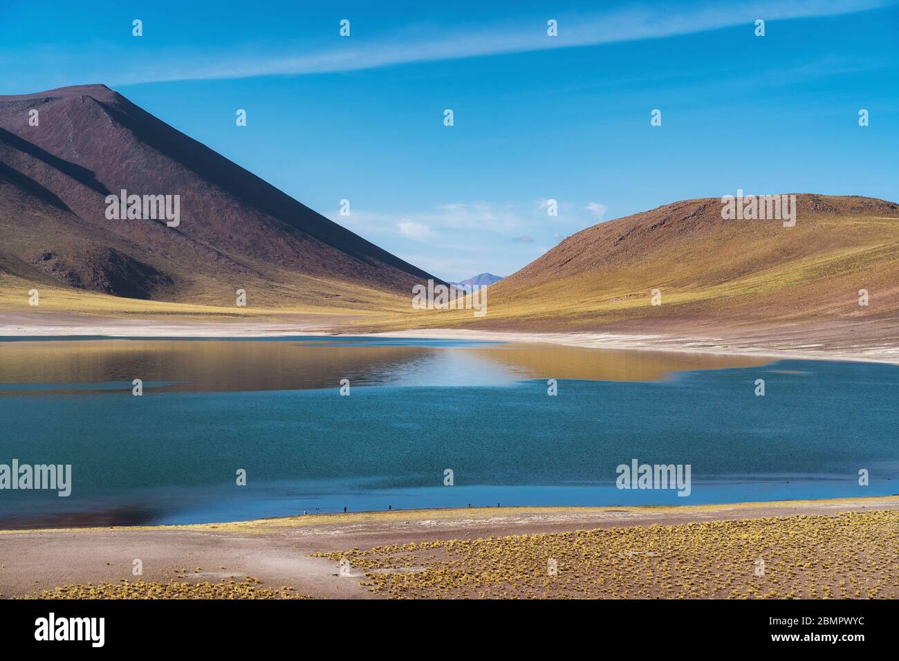Miniques Lagoon nel deserto di Atacama, Cile, Sud America. Foto Stock