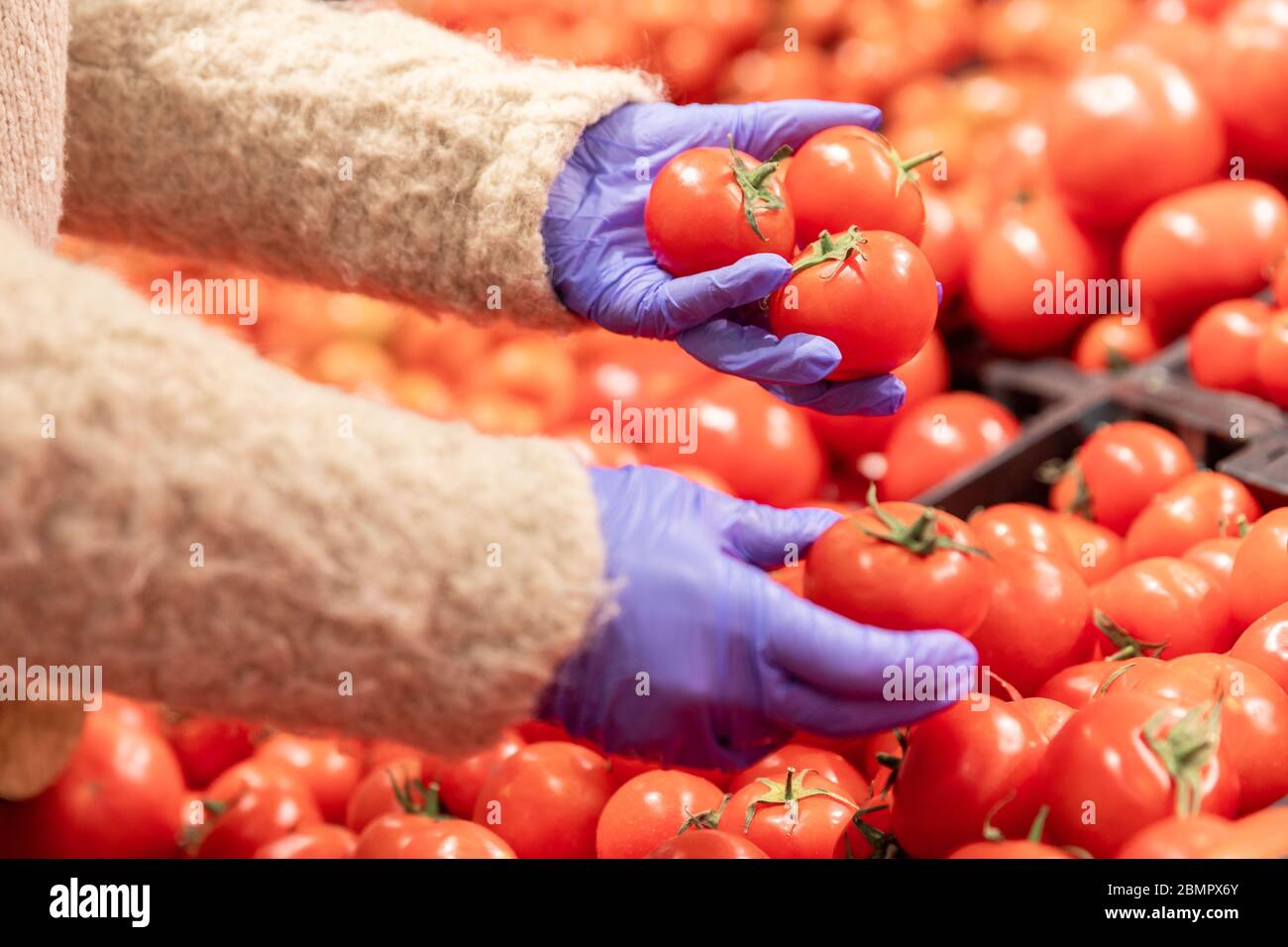 Donna mani in guanti di gomma medica sceglie pomodori rossi maturi in supermercato, soft focus. Misure protettive contro la pandemia di coronavirus, covid-19 Foto Stock