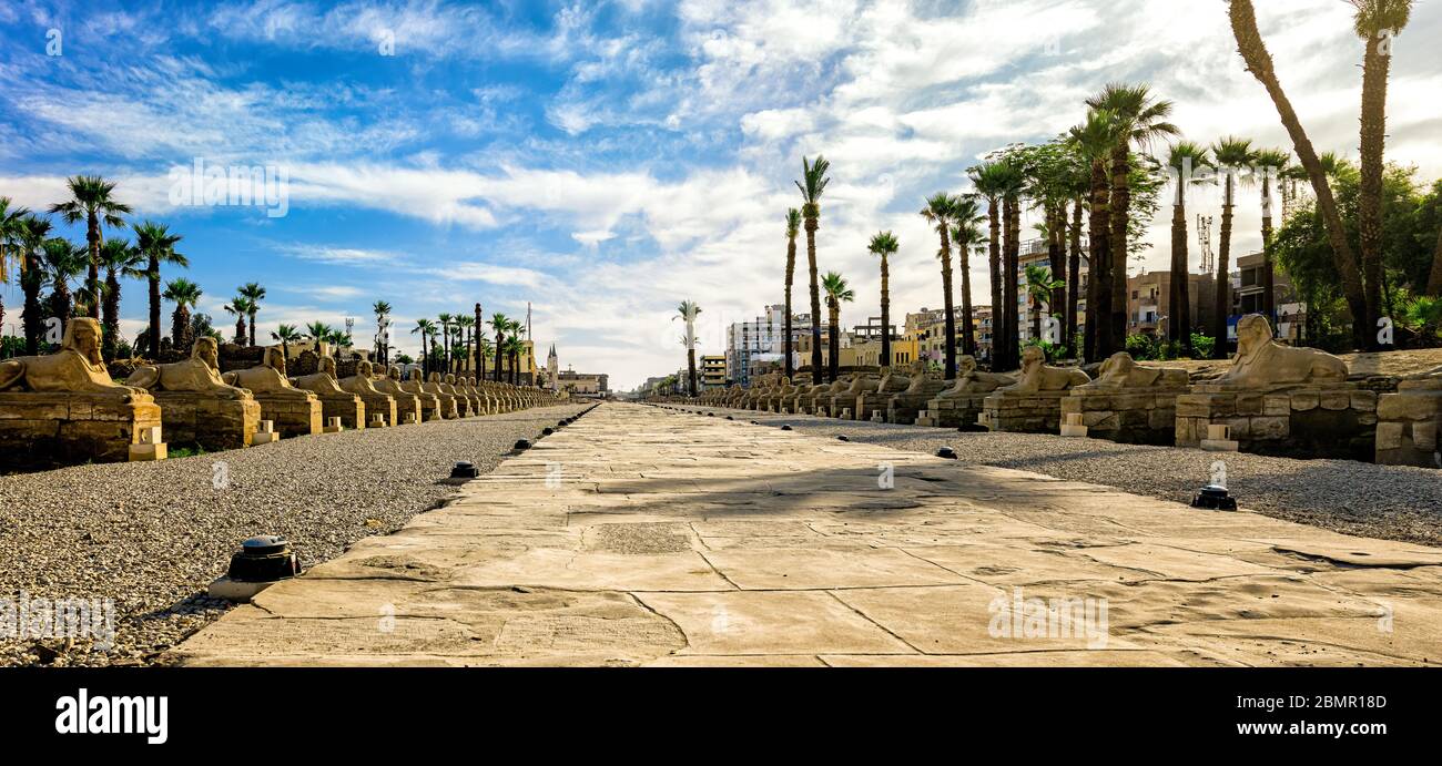 Il viale di Sphinxes, uno dei più importanti percorsi archeologici e religiosi di Luxor, era un tempo sede di importanti cerimonie religiose Foto Stock