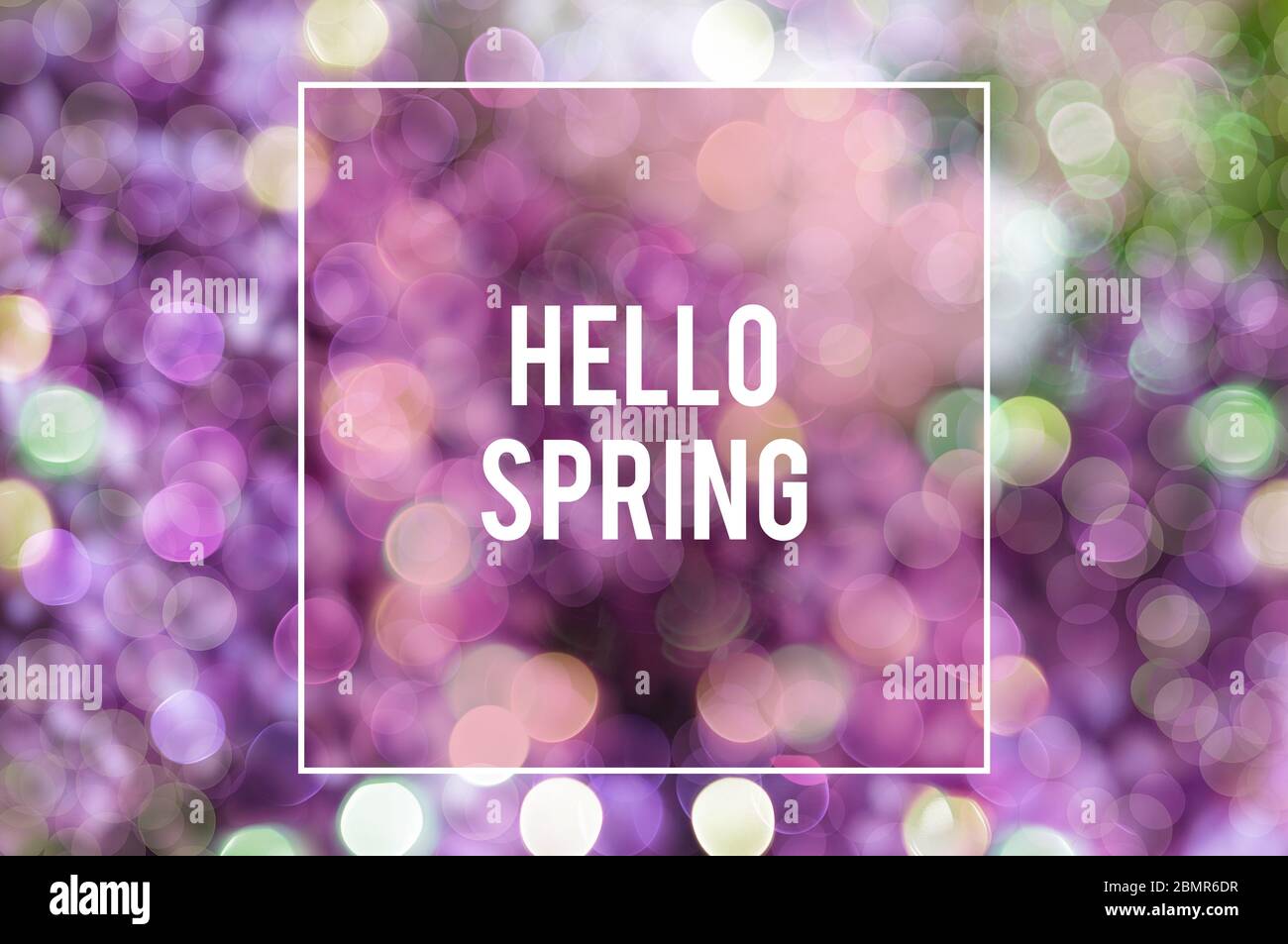 Primavera sfondo design con fiori lilla blu viola e luci bokeh con testo Hello Spring. Design moderno e in stile primavera Foto Stock