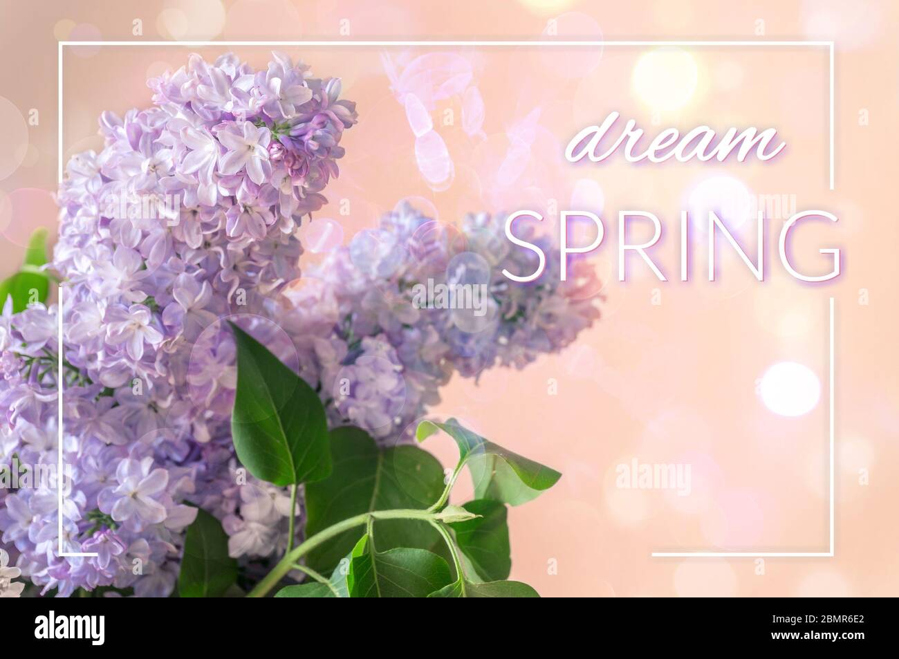 Disegno di sfondo di primavera con fiori lilla blu viola e luci bokeh con testo Dream Spring. Design moderno e in stile primavera Foto Stock