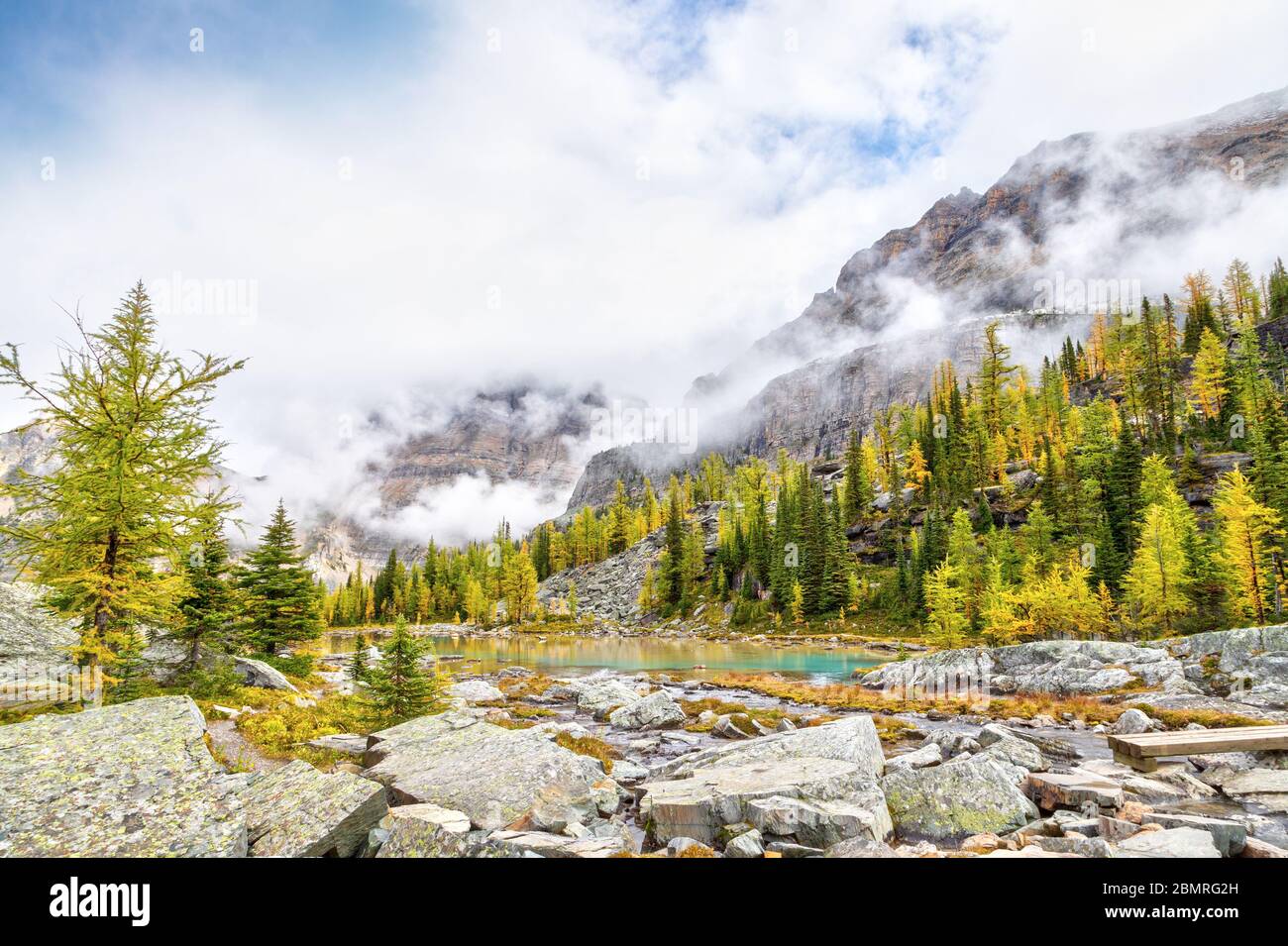 Scena autunnale al Lago o'Hara nelle Montagne Rocciose Canadesi del Parco Nazionale di Yoho con alberi di larice che si dorano sui Laghi di Moor con Yukness Mountain nel b Foto Stock