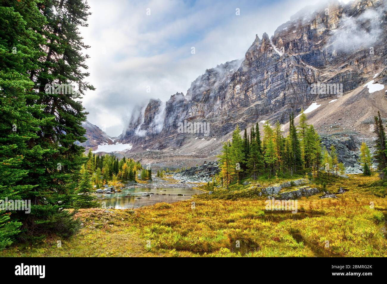 Scena autunnale al Lago o'Hara nelle Montagne Rocciose Canadesi del Parco Nazionale di Yoho con larici dorati e nuvole basse che pendono sul Monte Shaffer e Yukne Foto Stock