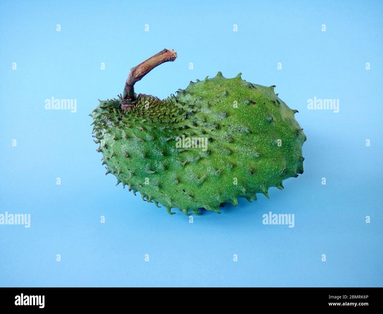 frutta soursop su sfondo blu. Soursop è il frutto di Annona muricata, un albero sempreverde a foglia larga, fiorente. Foto Stock