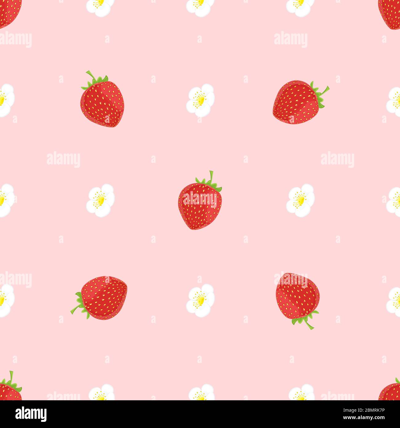 Sfondo senza giunture con vettore di fragola. Fragole rosse mature con fiori bianchi su sfondo rosa senza cuciture Illustrazione Vettoriale