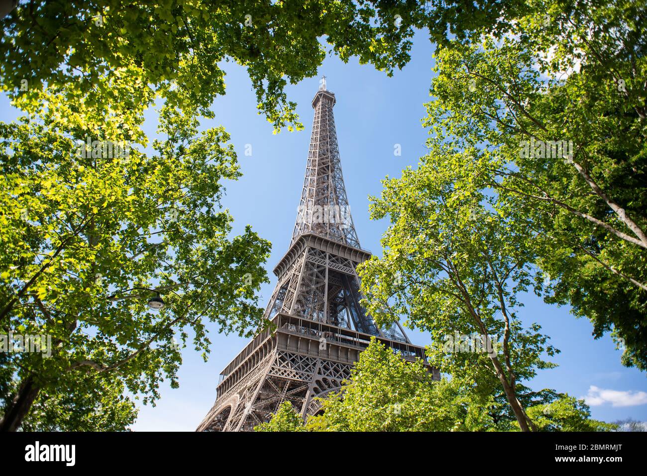 Torre Eiffel a Parigi. Francia. La migliore destinazione in Europa. Vista attraverso foglie verdi. Foto Stock