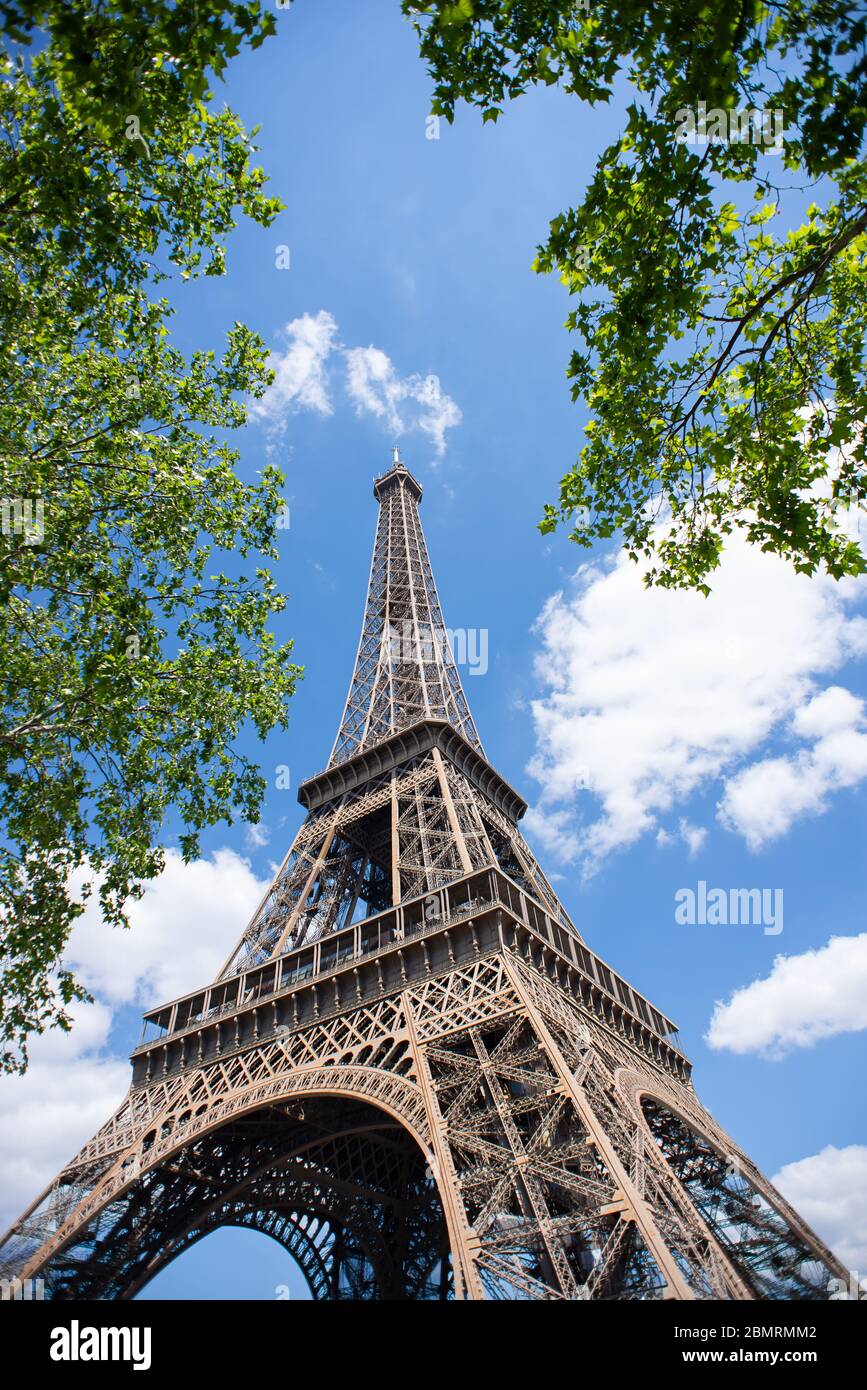 Torre Eiffel a Parigi. Francia. Vista inferiore. La migliore destinazione in Europa. Vista attraverso foglie verdi. Foto Stock