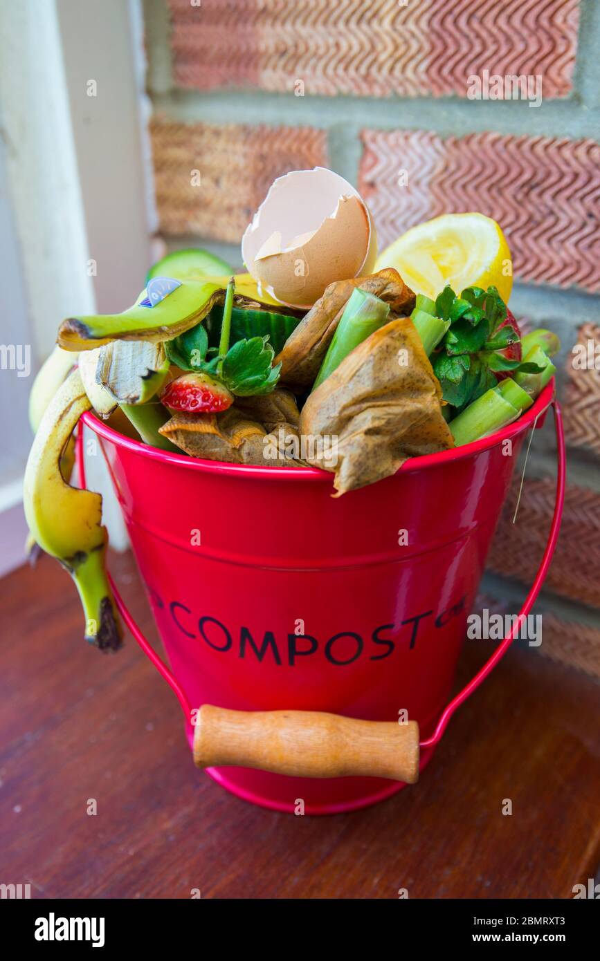 Cestino di compost di cucina con spreco di cibo pronto per il mucchio di compost. Foto Stock